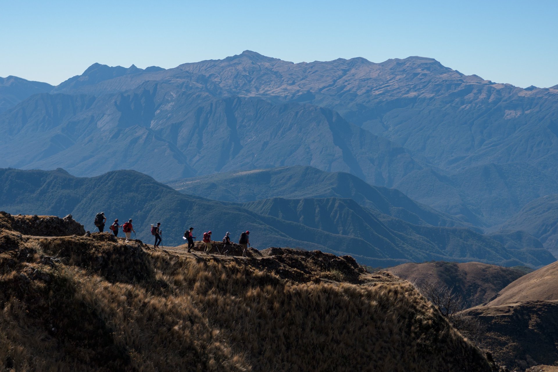 an abstract photo of a curved building with a blue sky in the background