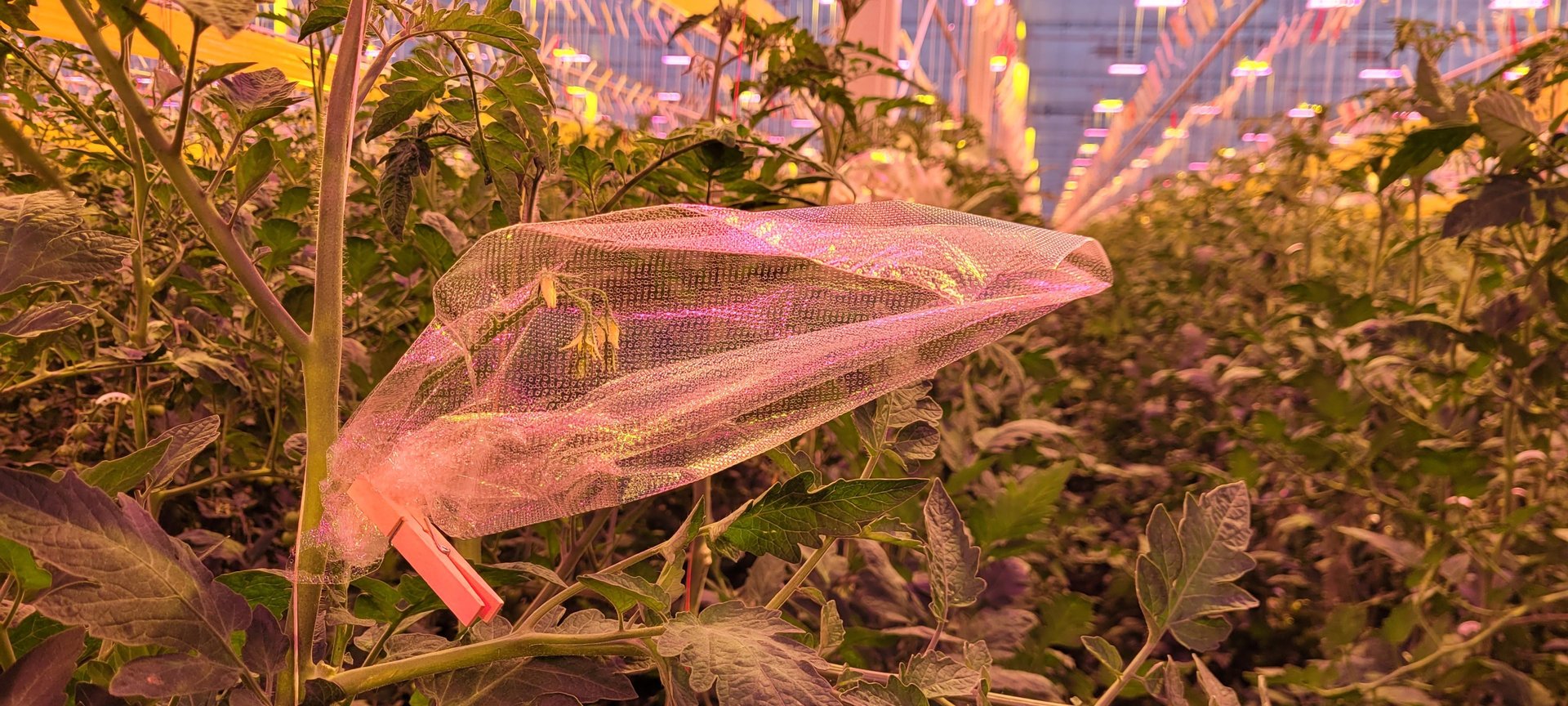an abstract photo of a curved building with a blue sky in the background