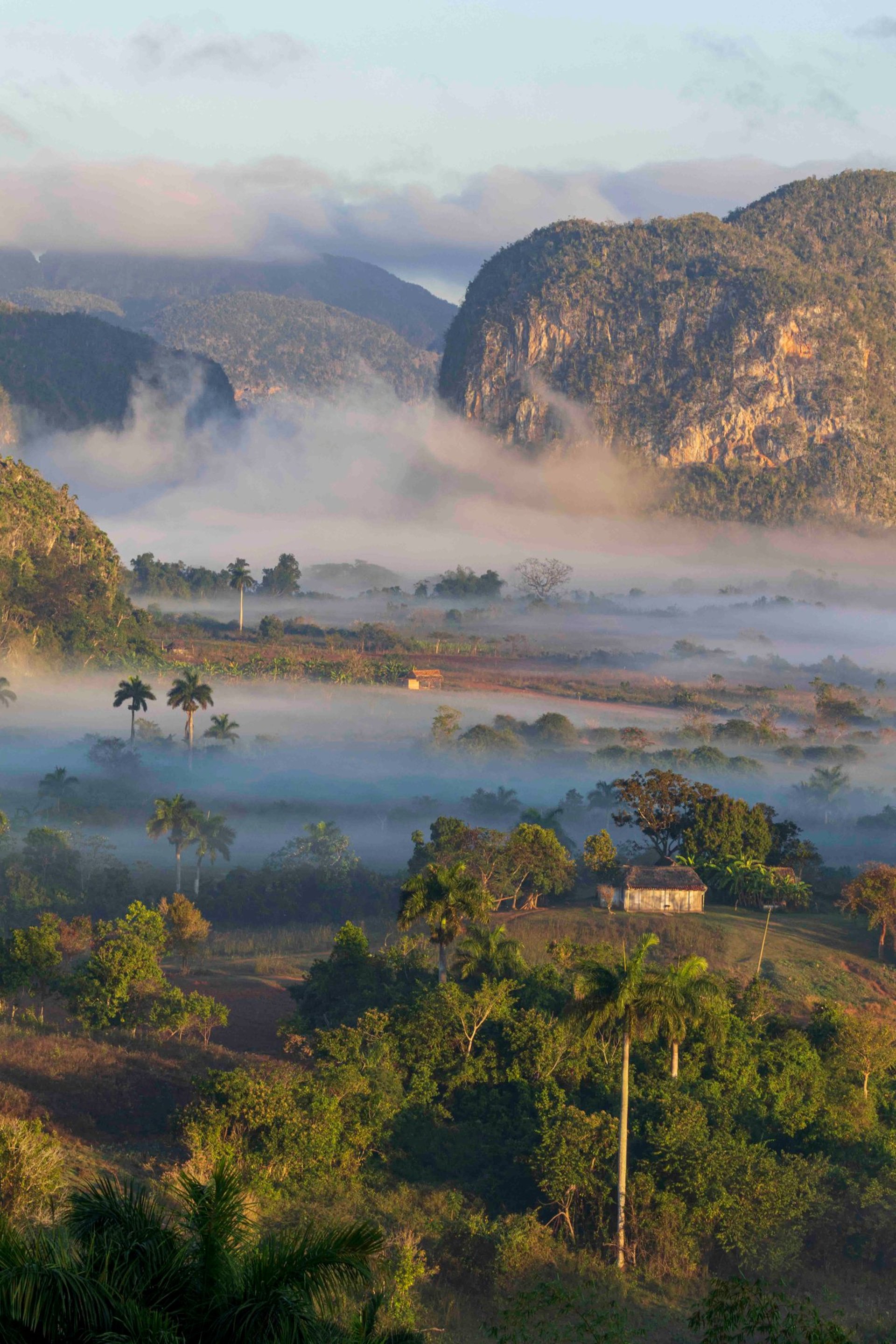 gray computer monitor