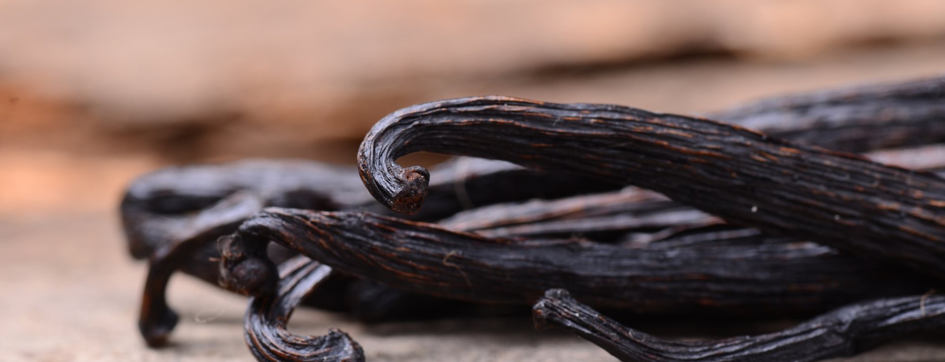 an abstract photo of a curved building with a blue sky in the background