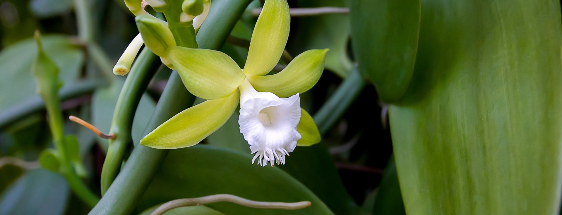 an abstract photo of a curved building with a blue sky in the background