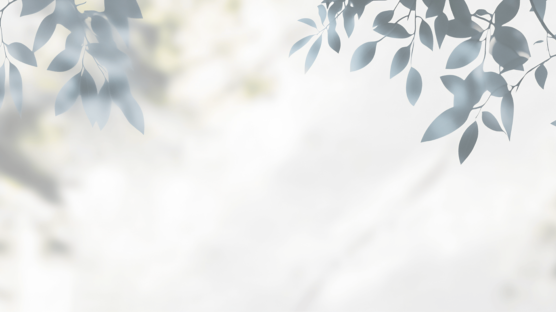 sun light passing through green leafed tree