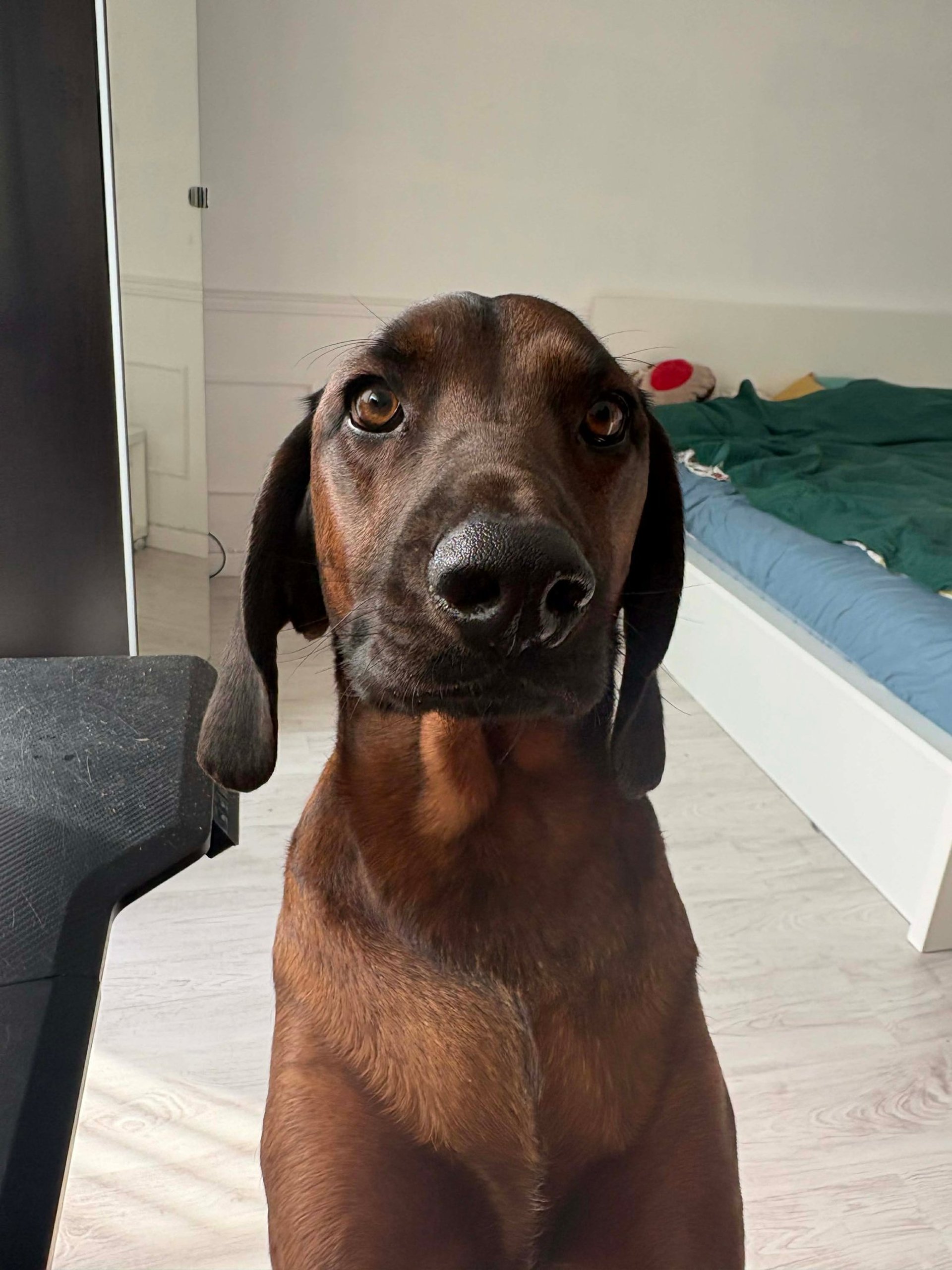 mountain range under blue sky