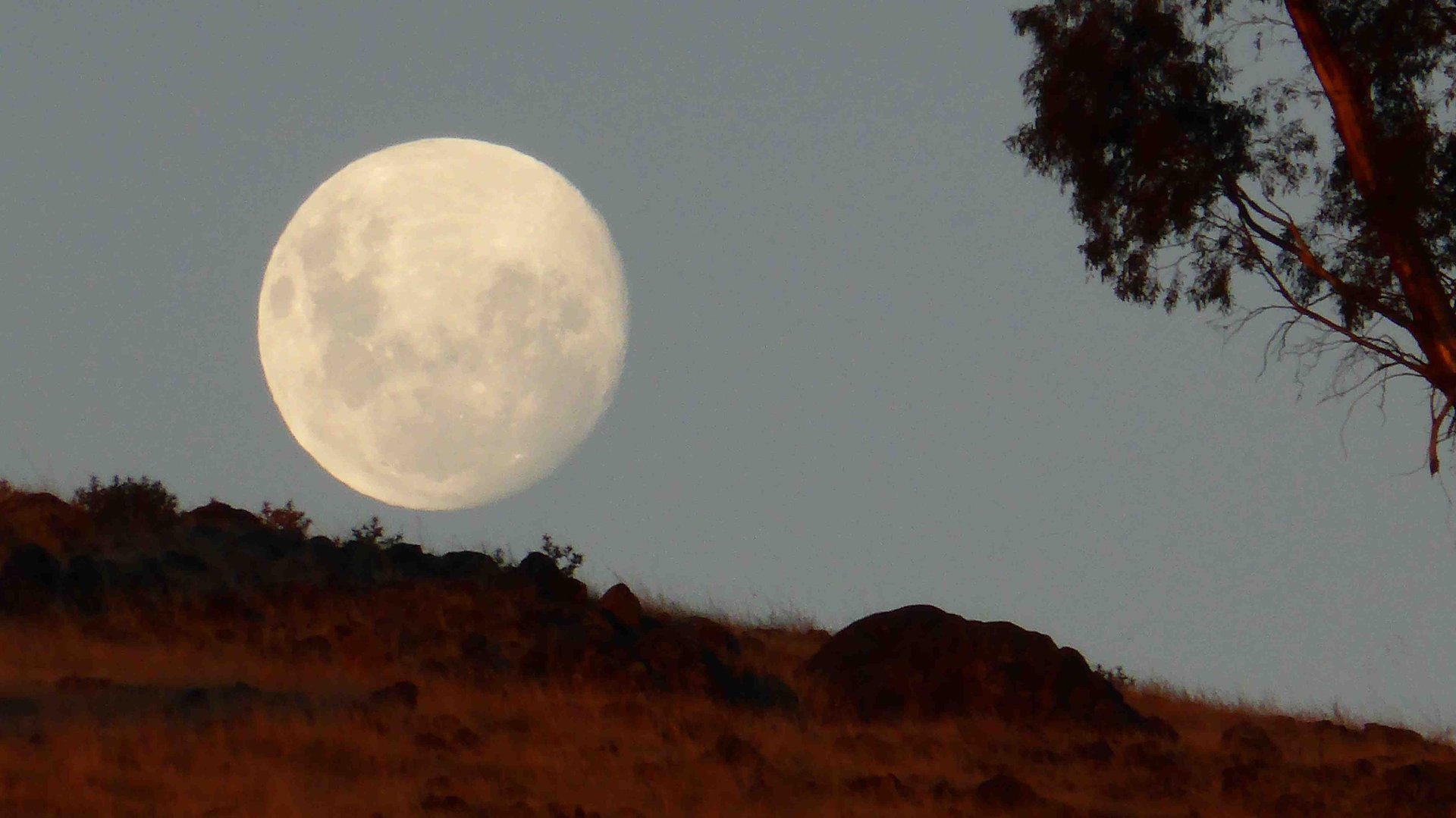 woman wearing yellow long-sleeved dress under white clouds and blue sky during daytime