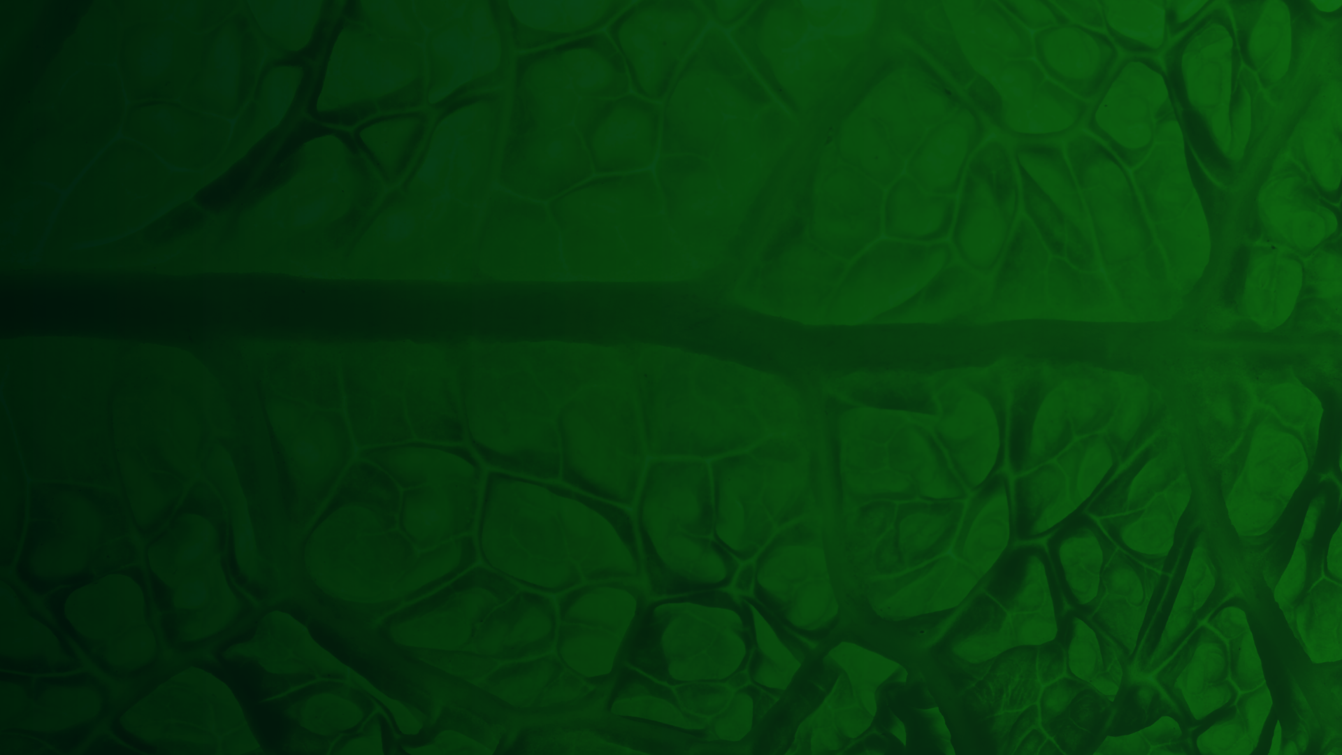 black and white bottles on brown wooden shelf