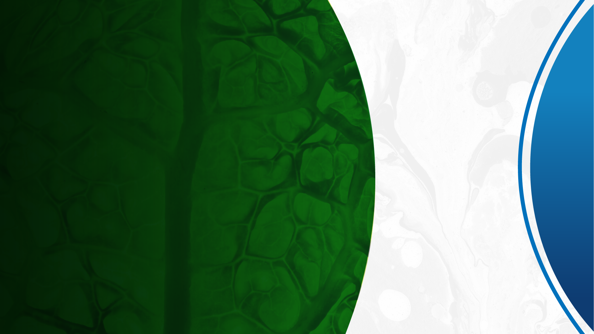 a close up of a black and brown abstract painting