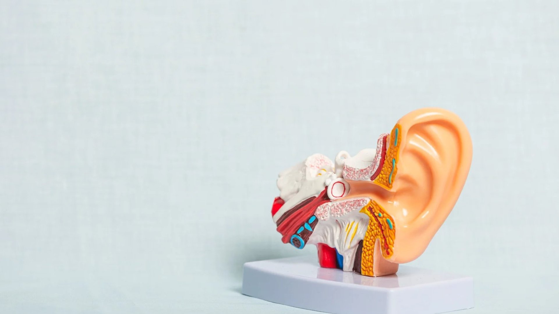 person writing on white paper