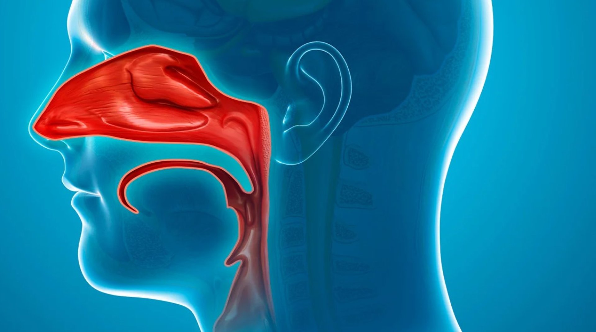 person writing on white paper