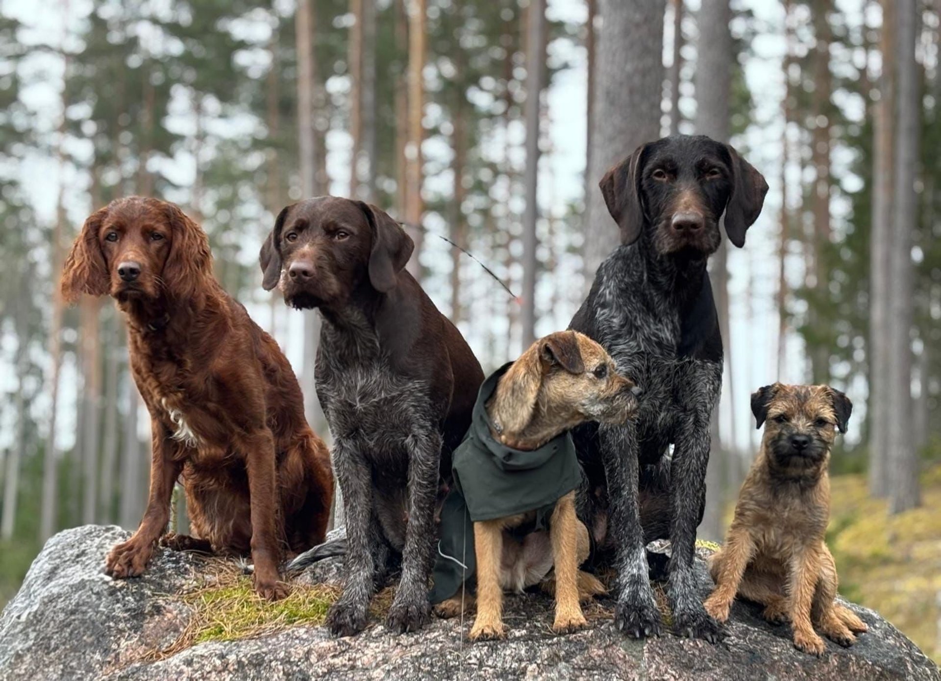 black and white bed linen