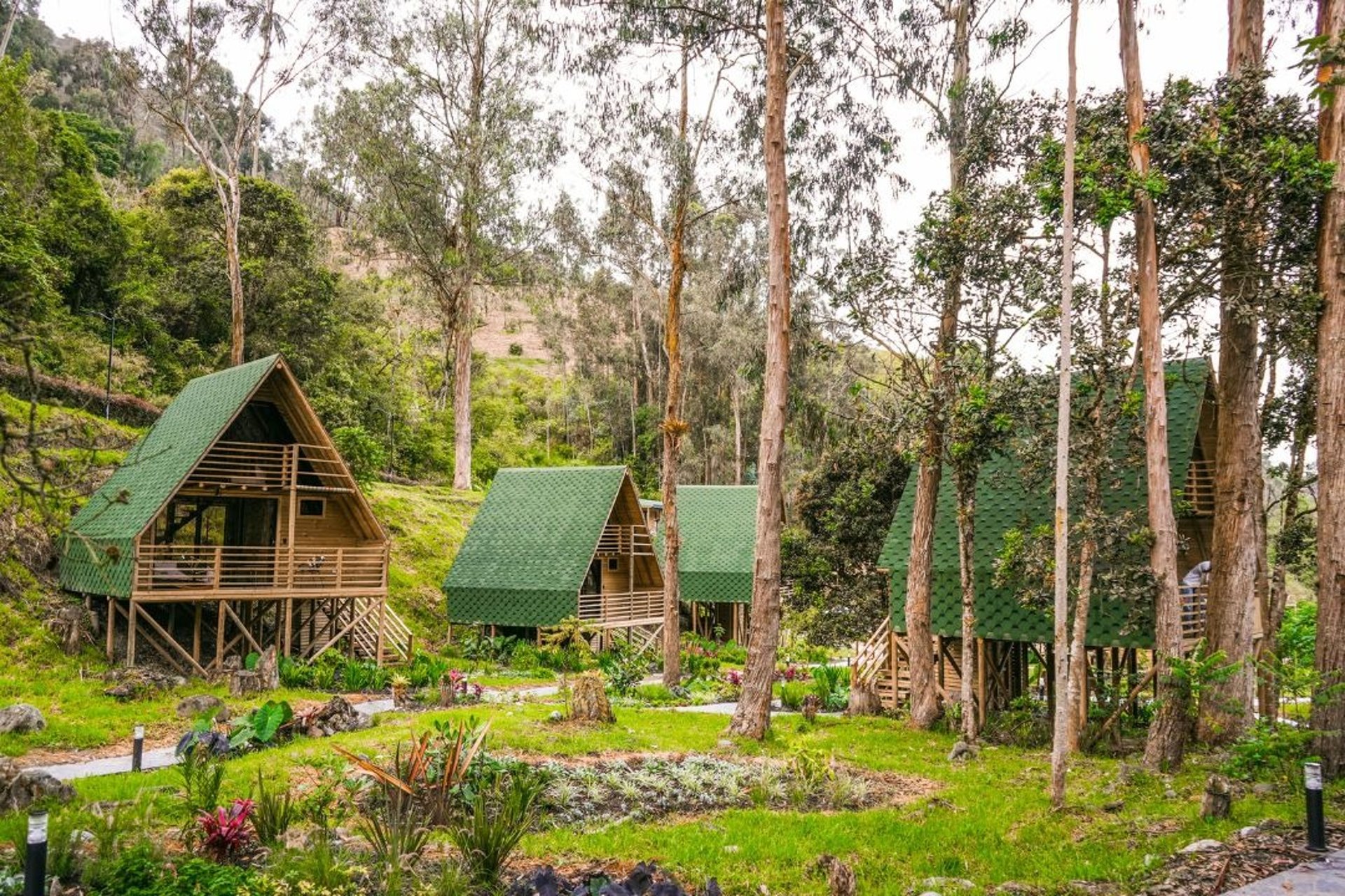 black blue and yellow textile