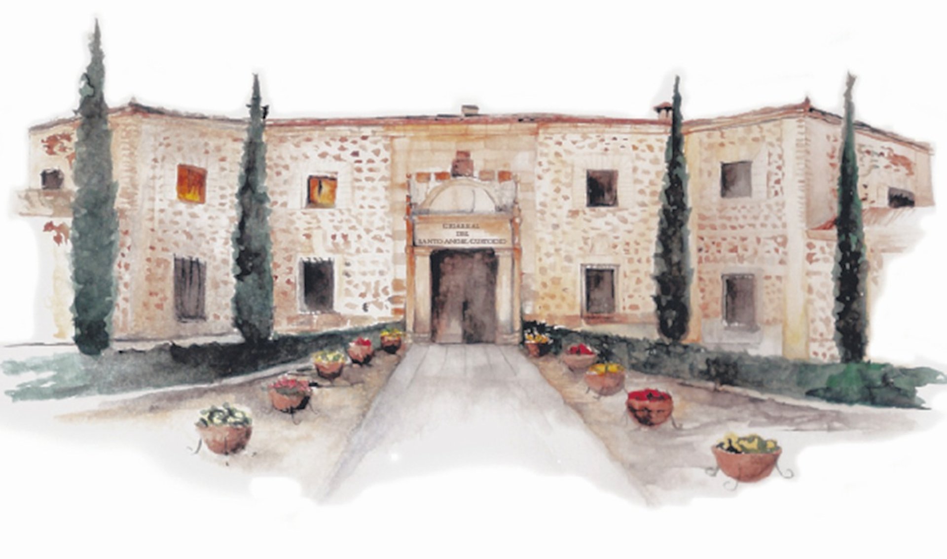 couple wearing silver-colored rings