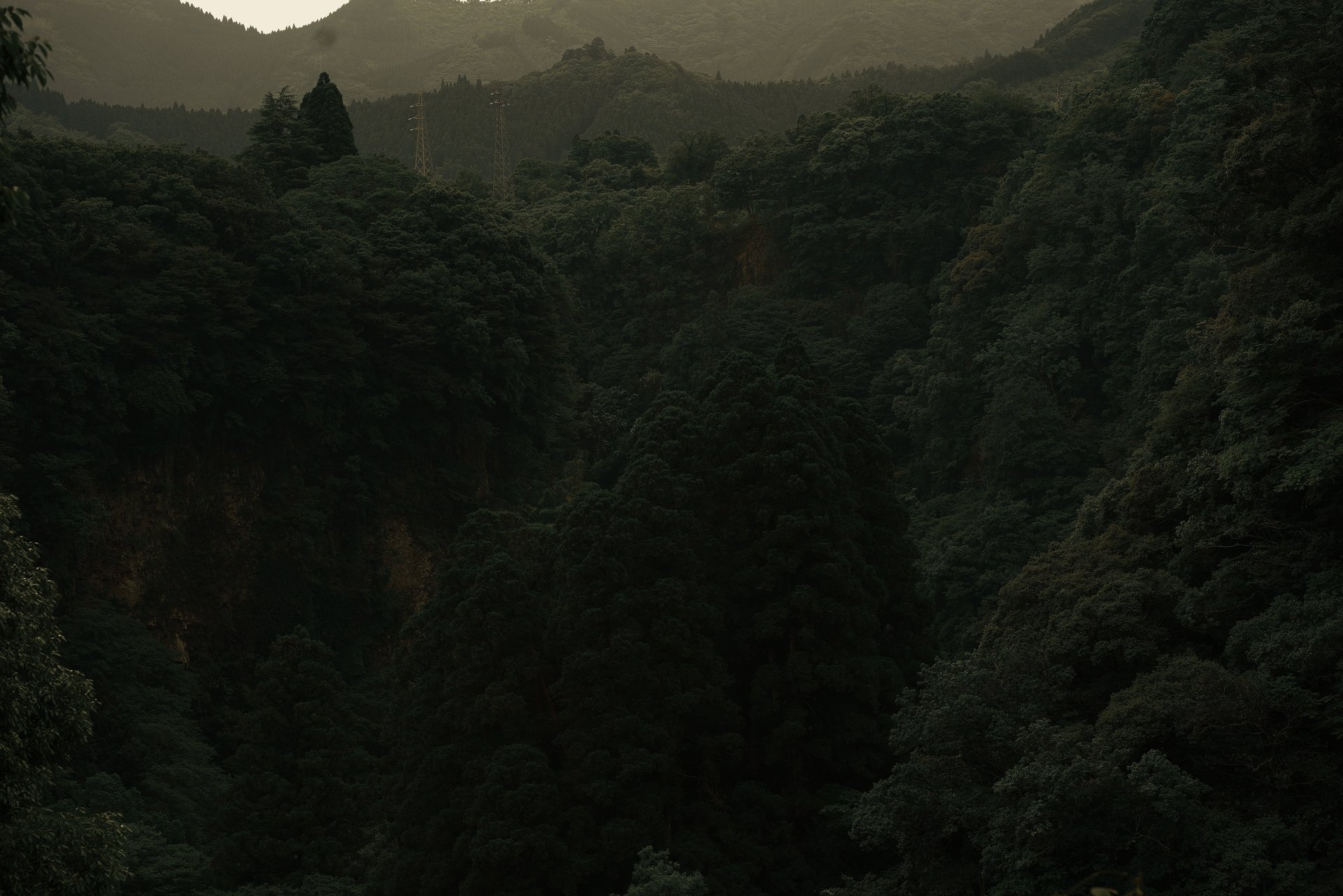 a close up of a black and brown abstract painting