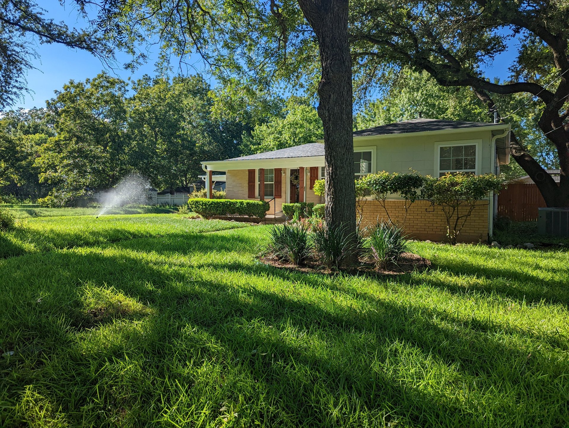 black and white bed linen