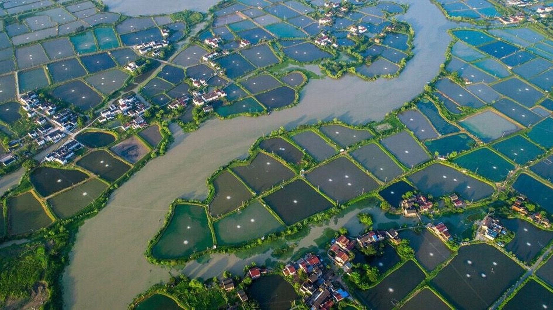 monitor komputer abu-abu