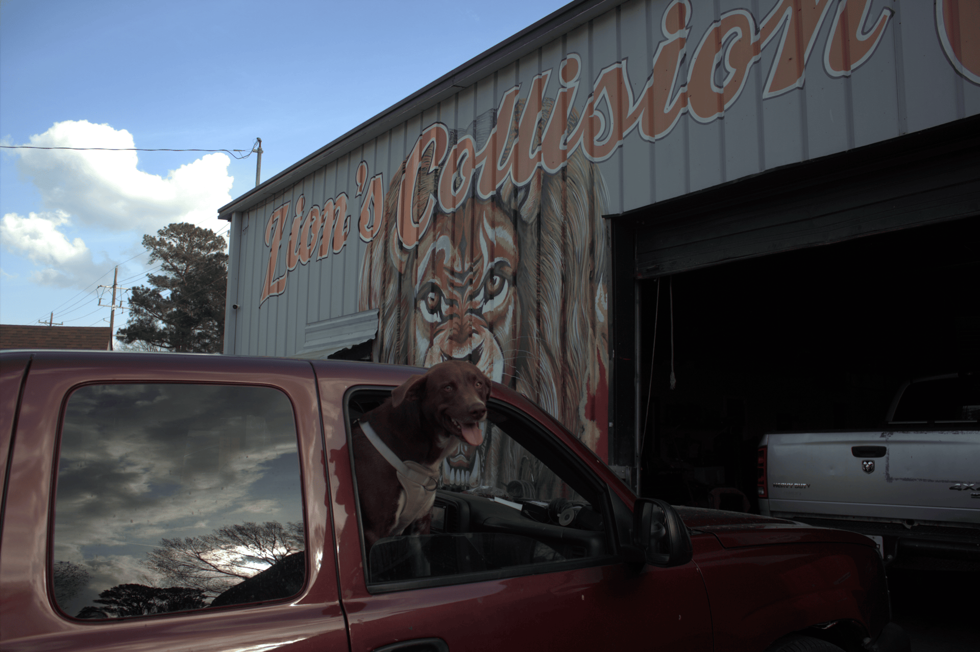 woman wearing yellow long-sleeved dress under white clouds and blue sky during daytime