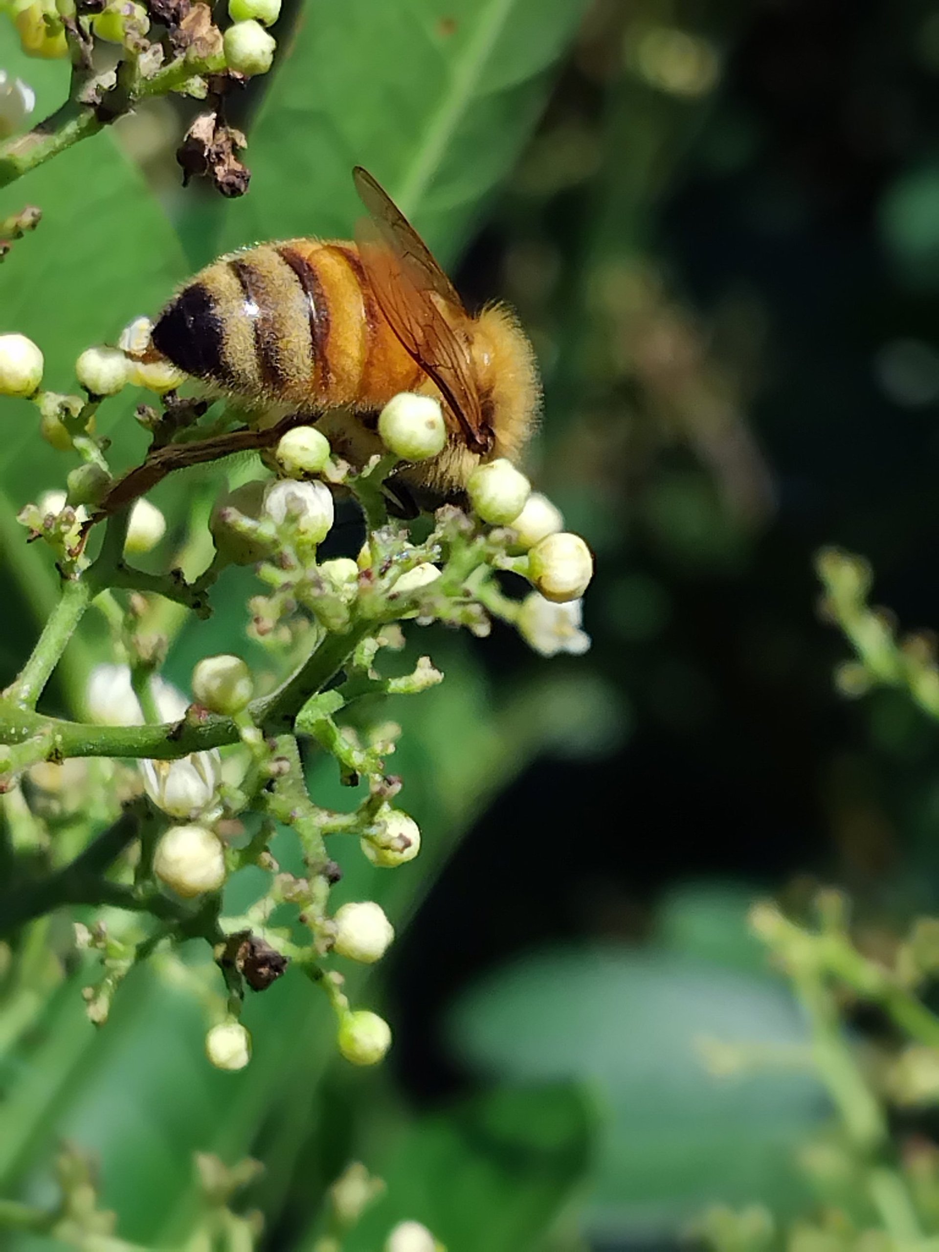 gray computer monitor