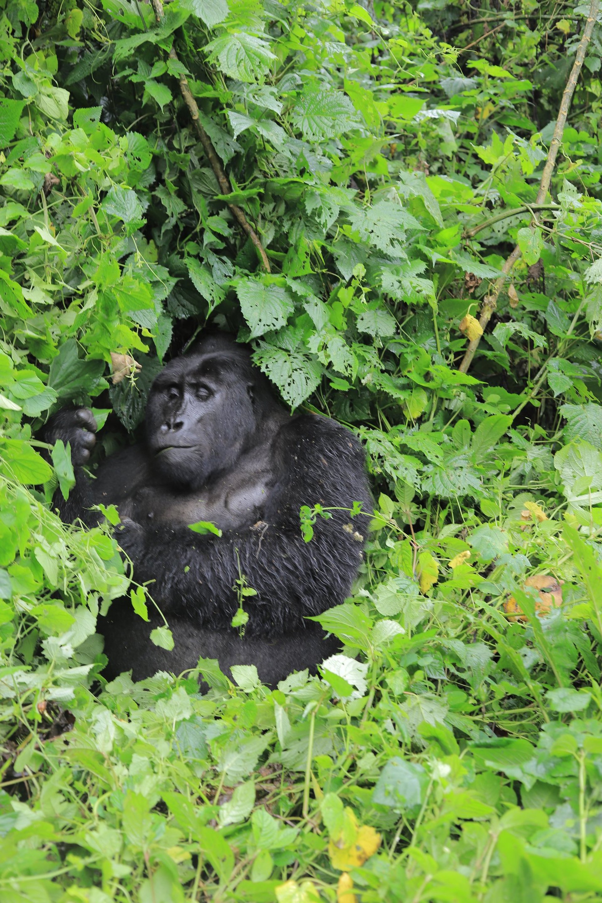 an abstract photo of a curved building with a blue sky in the background
