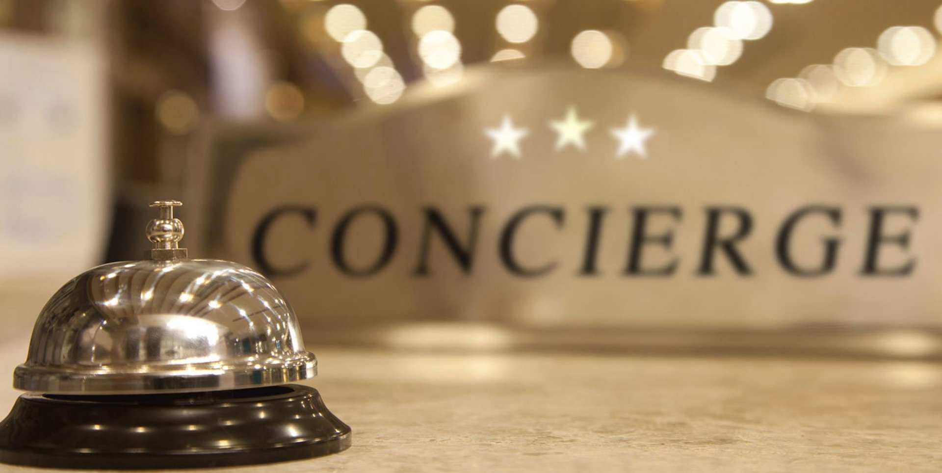 yellow sunflower field during daytime