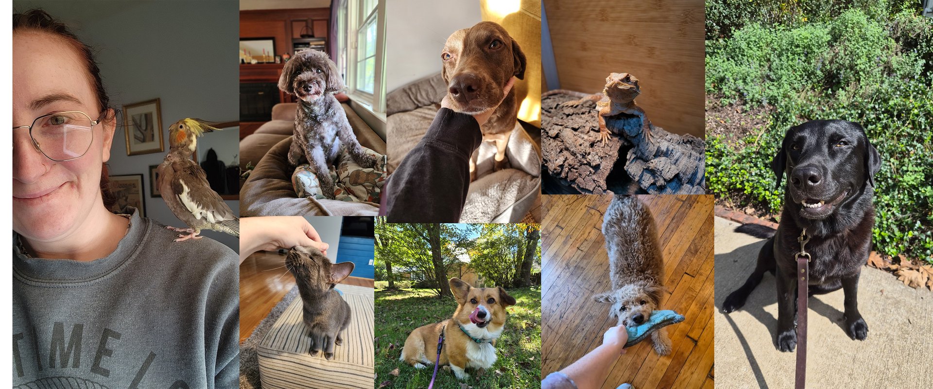 black and brown leather padded tub sofa