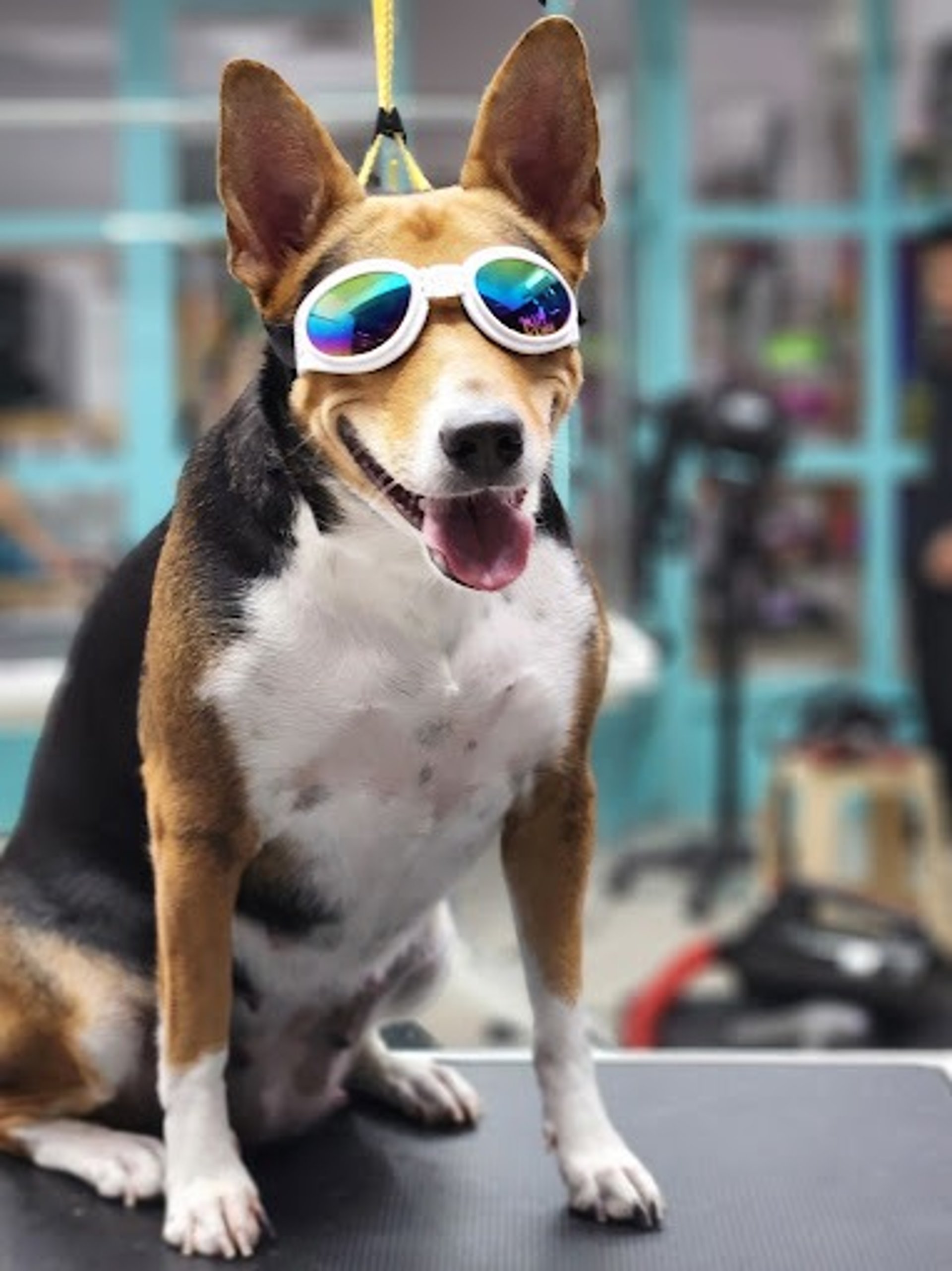 an abstract photo of a curved building with a blue sky in the background