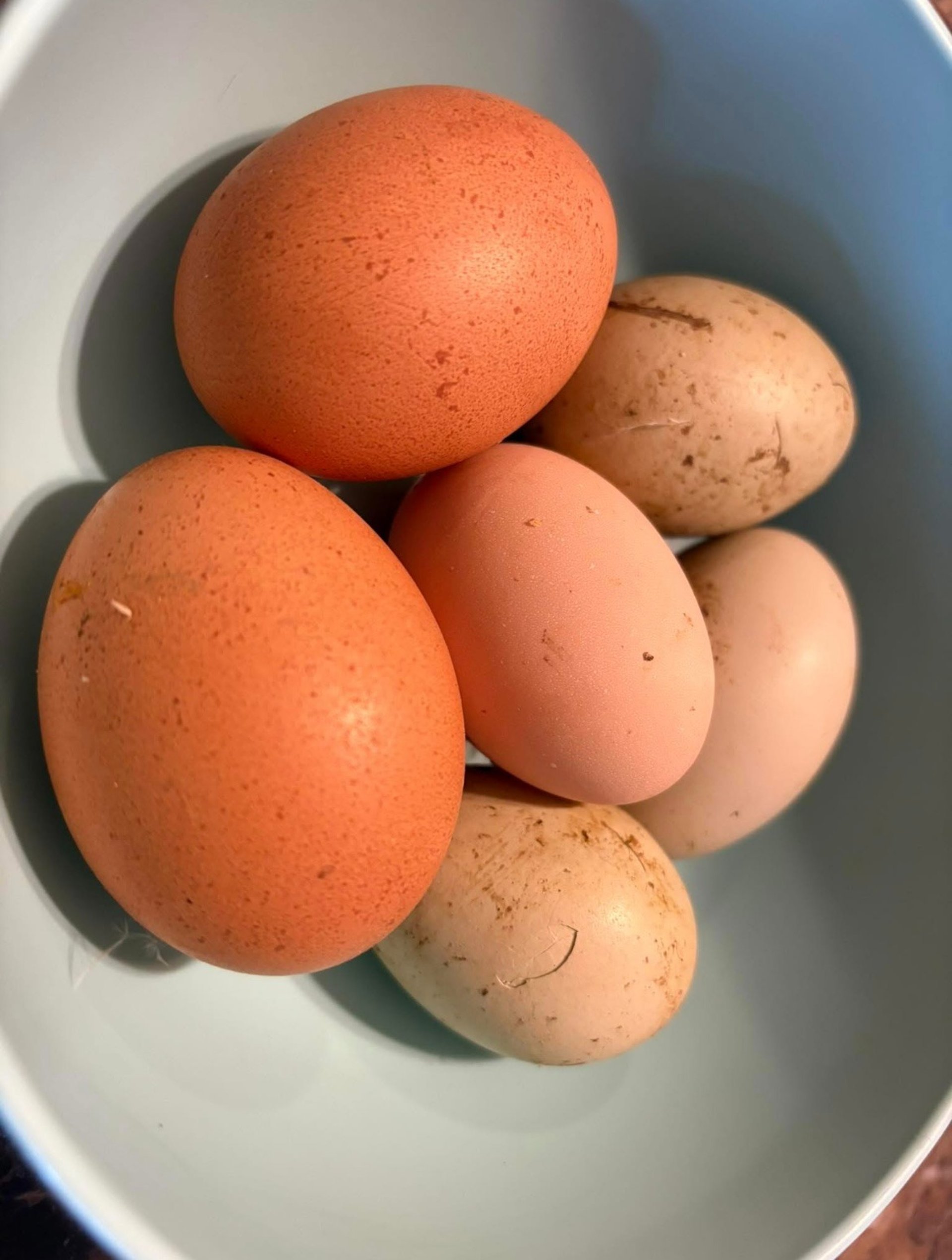 gray computer monitor