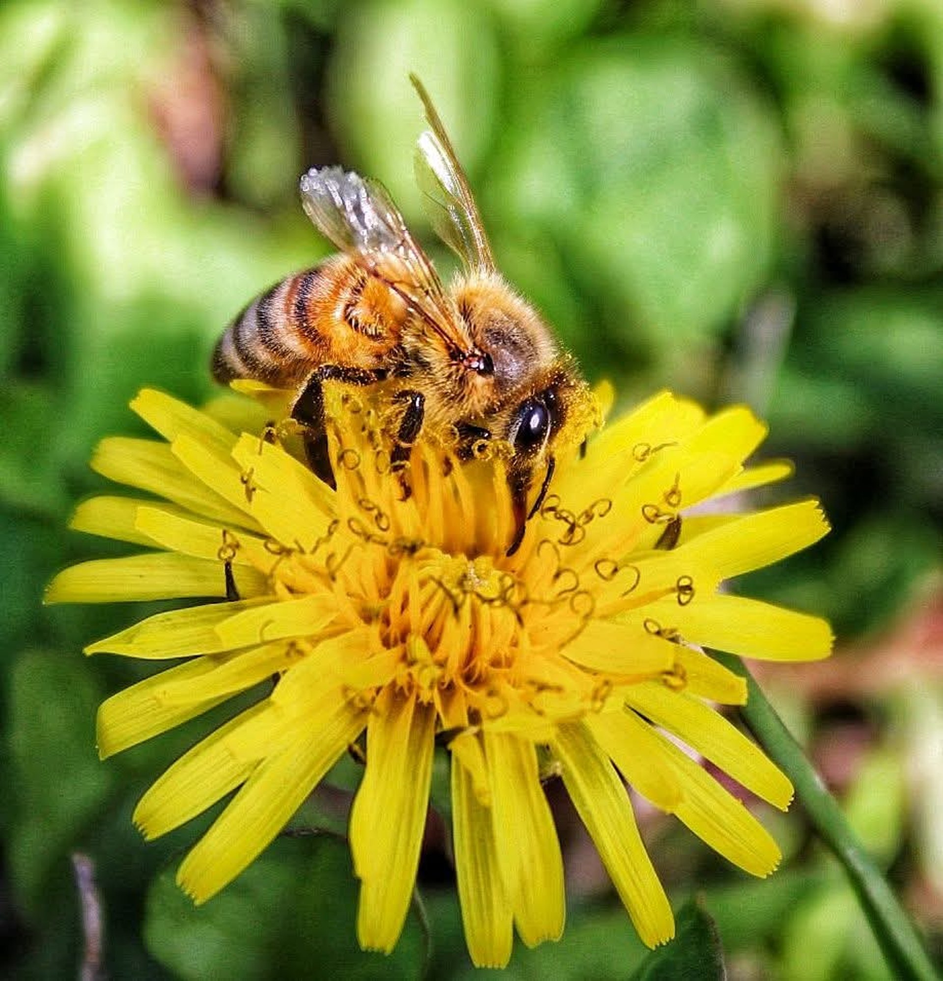 woman wearing yellow long-sleeved dress under white clouds and blue sky during daytime