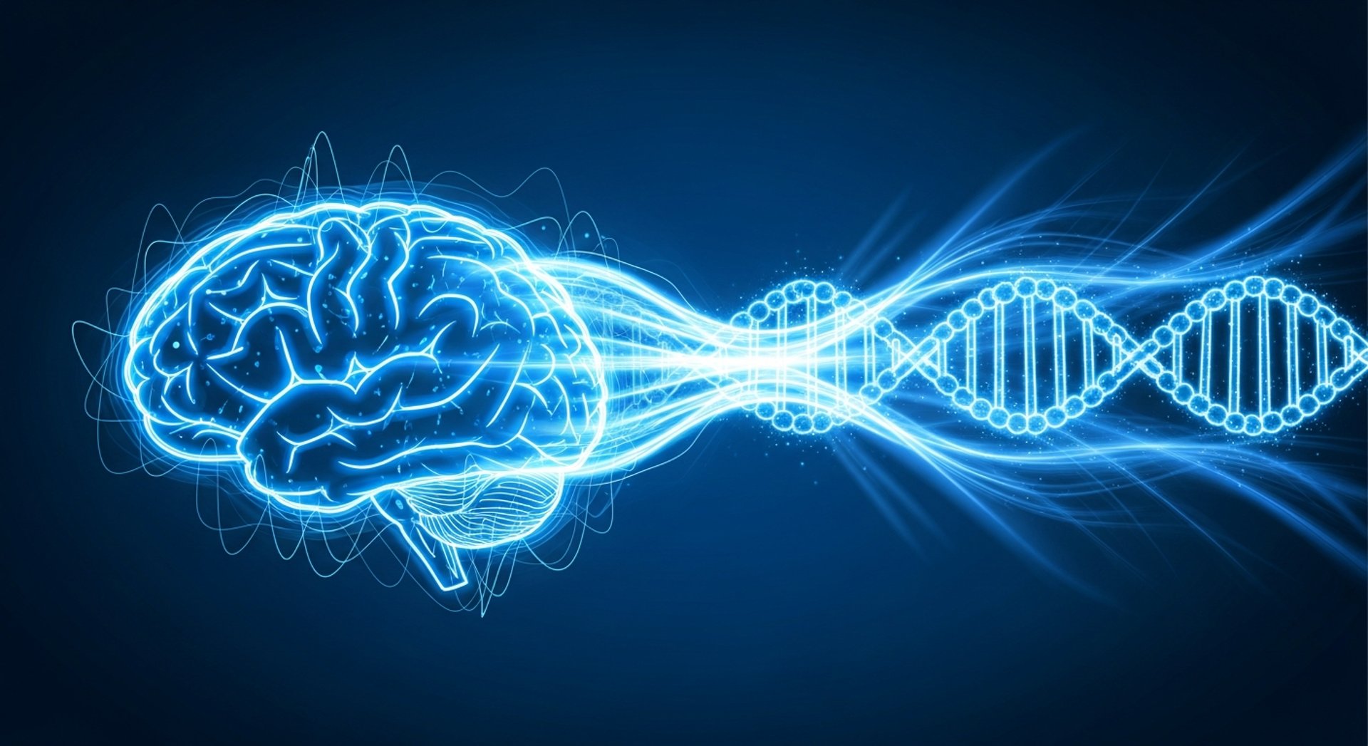 gray computer monitor