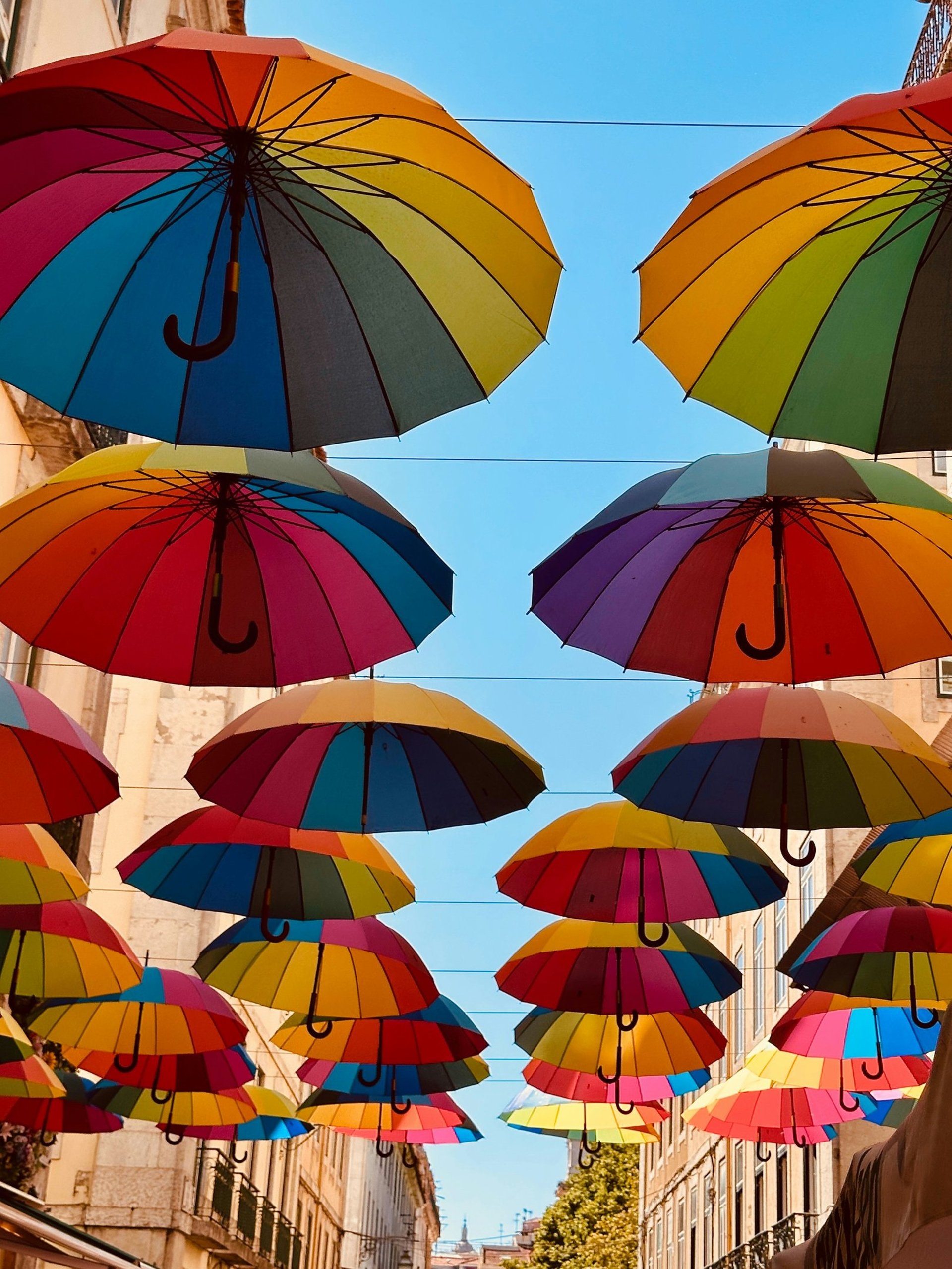 brown wooden house on lake