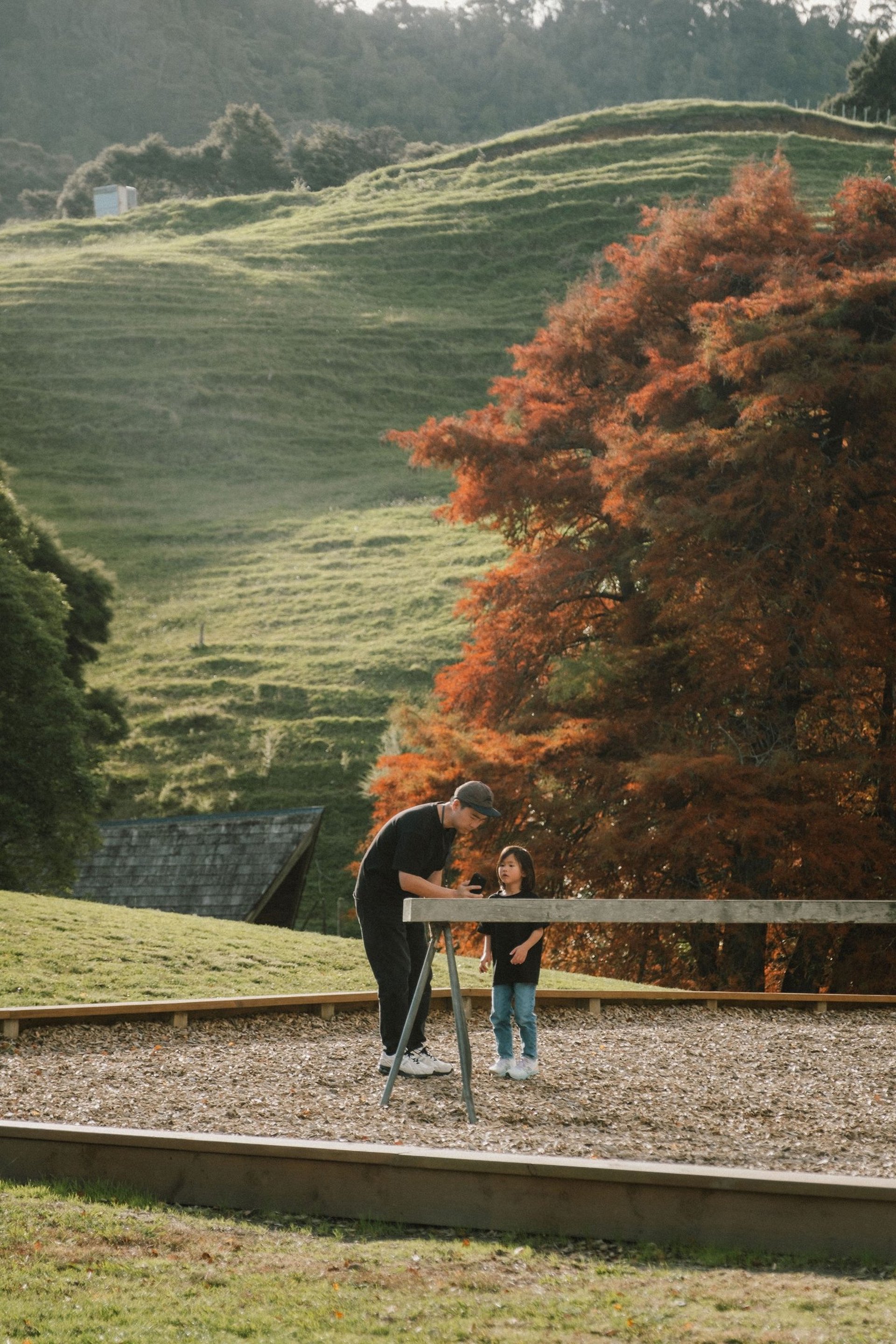 an abstract photo of a curved building with a blue sky in the background