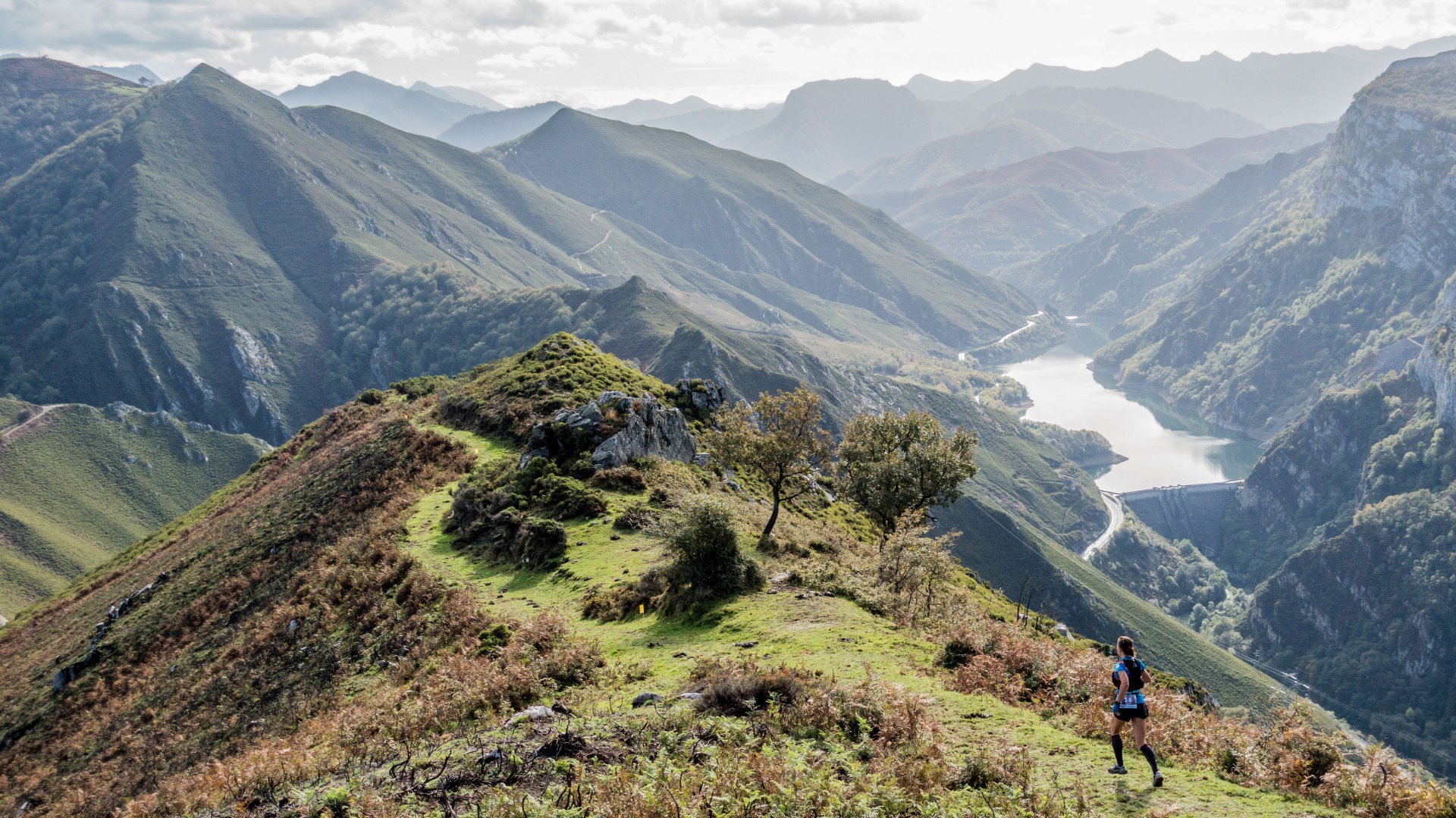 black blue and yellow textile