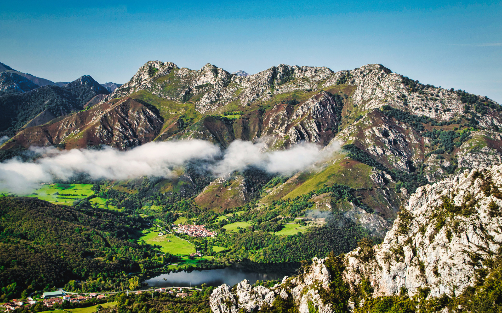 black and white bed linen