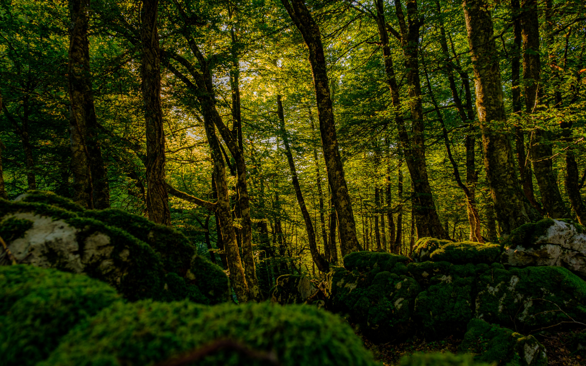 an abstract photo of a curved building with a blue sky in the background