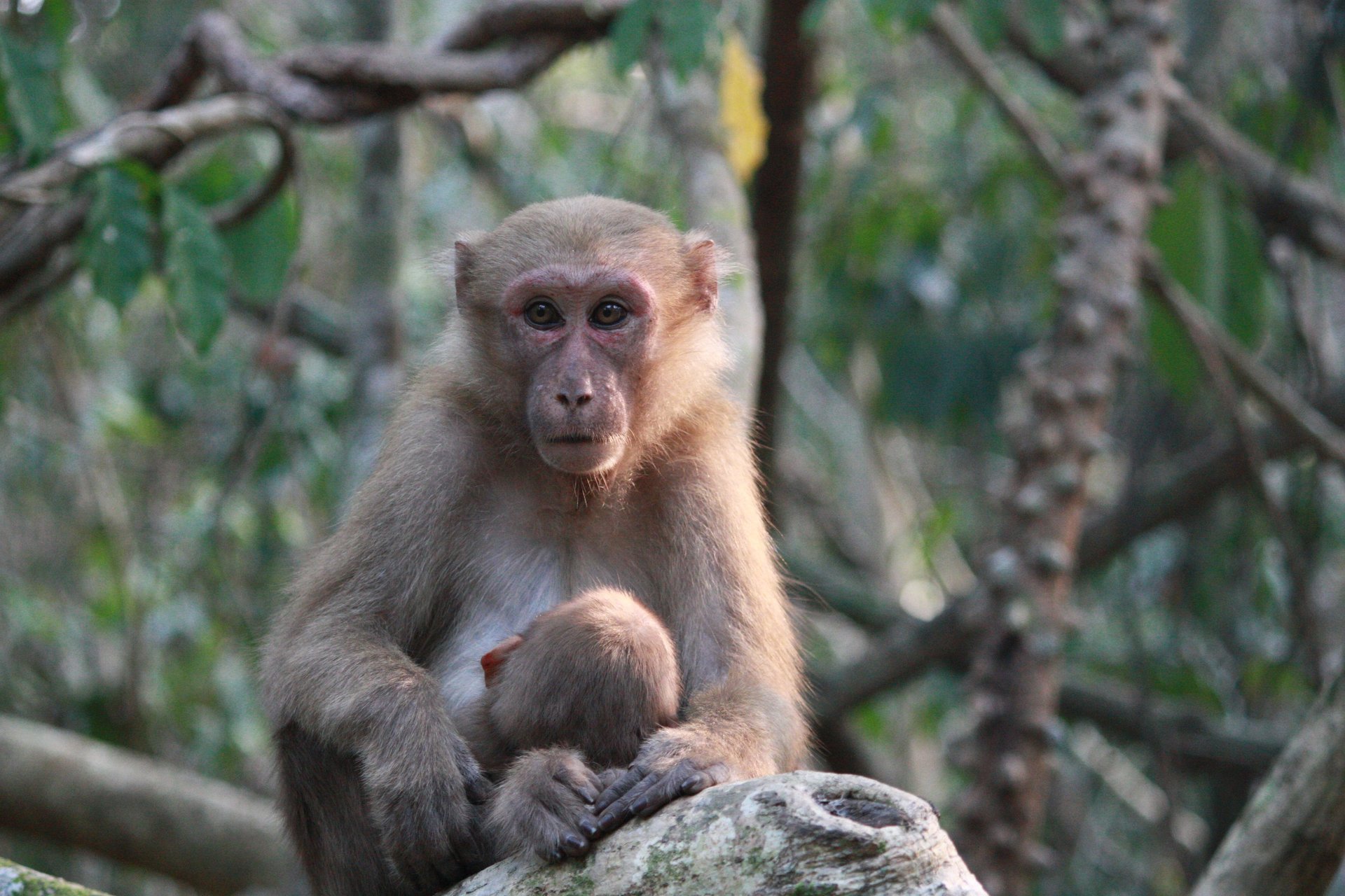 an abstract photo of a curved building with a blue sky in the background