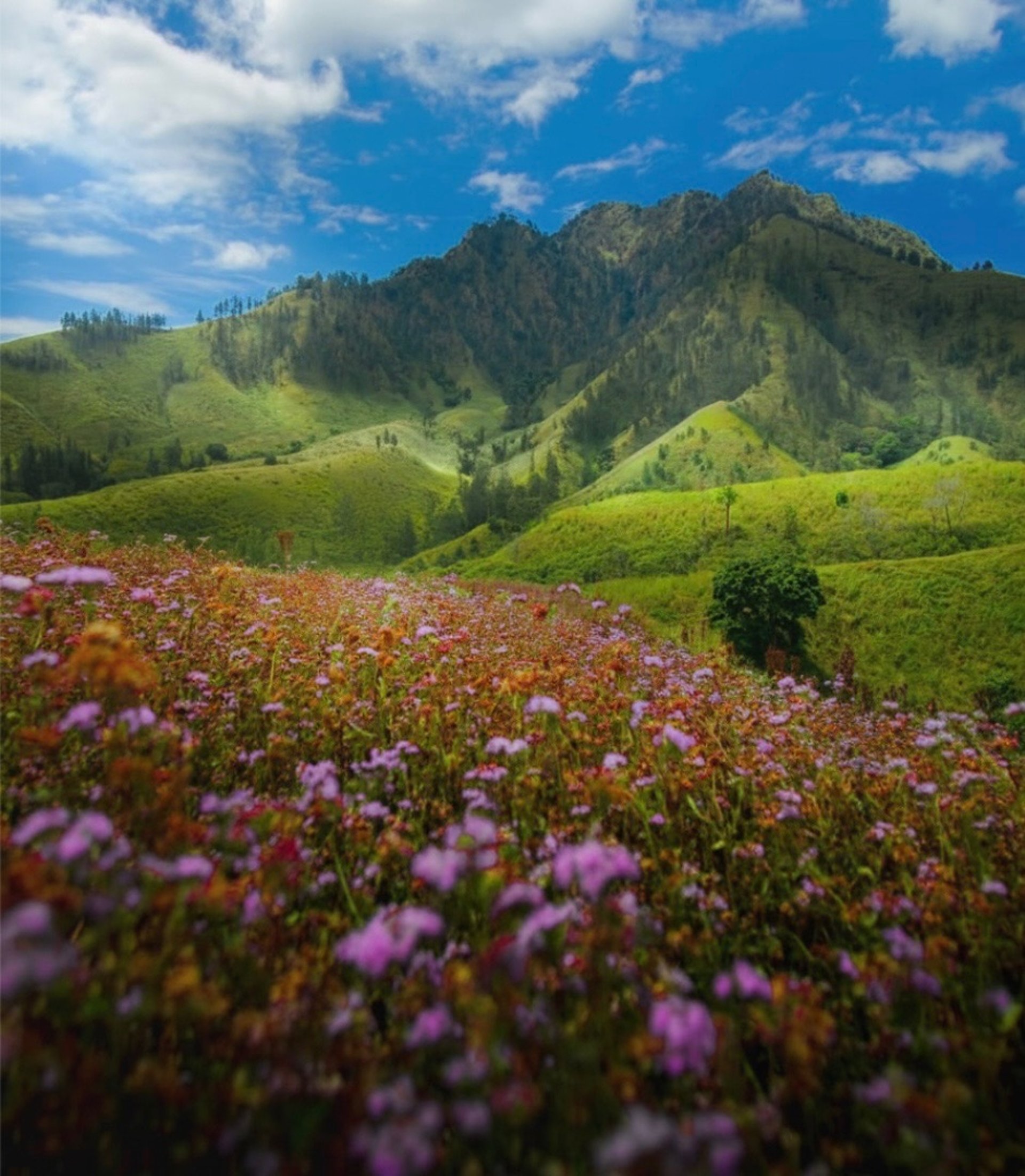 black blue and yellow textile