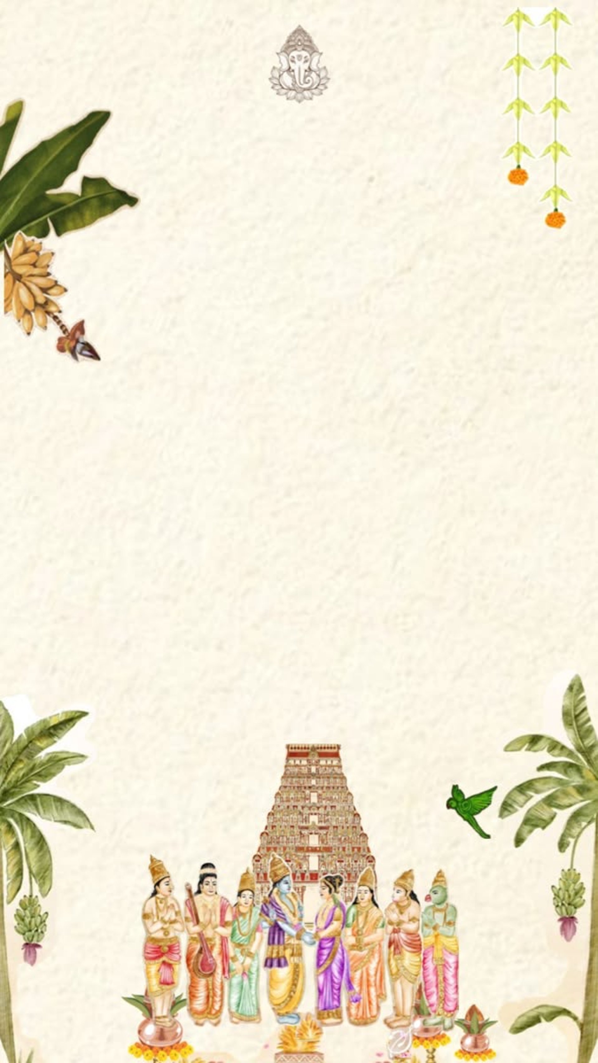 pink and white flowers under white sky during daytime