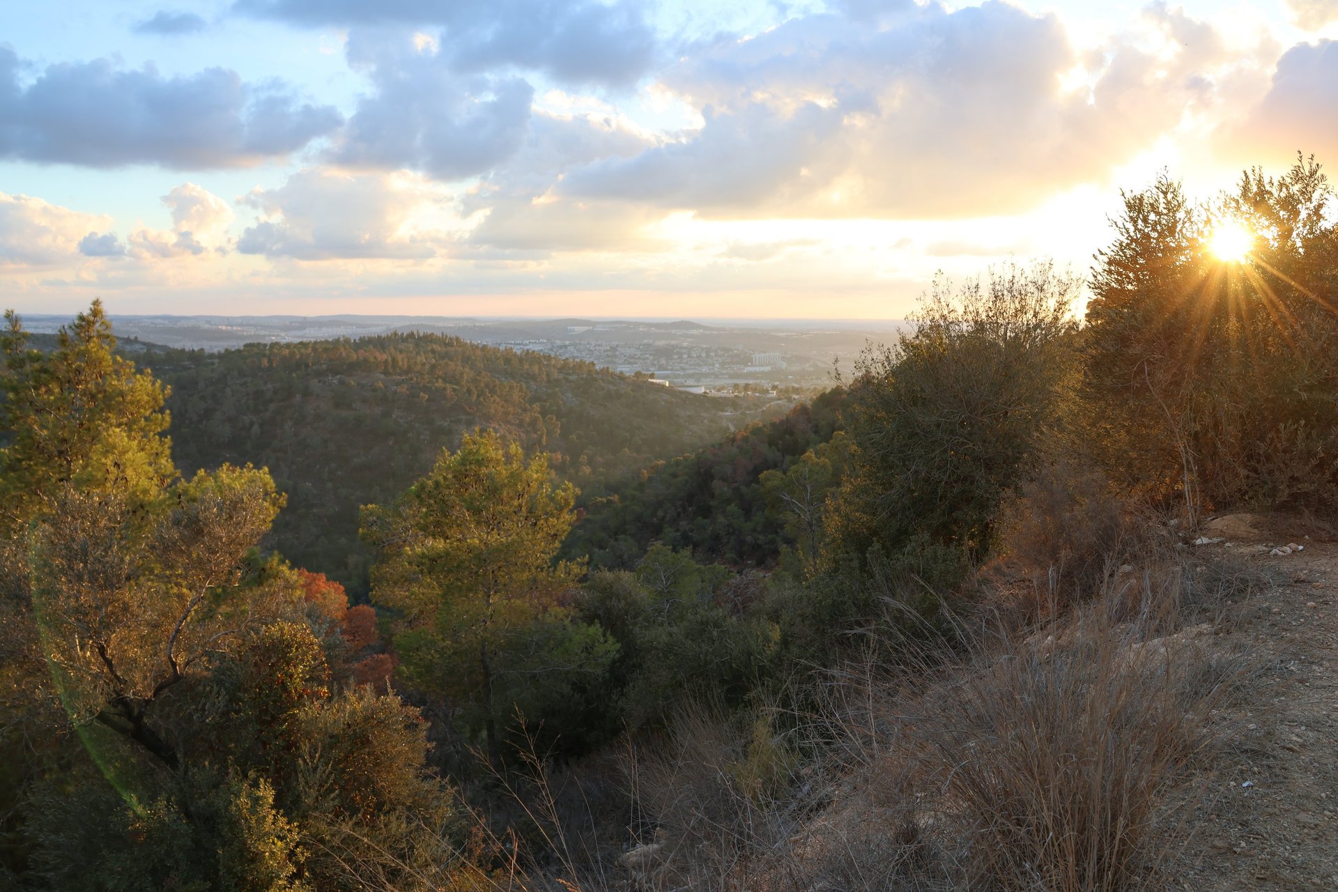 gray computer monitor