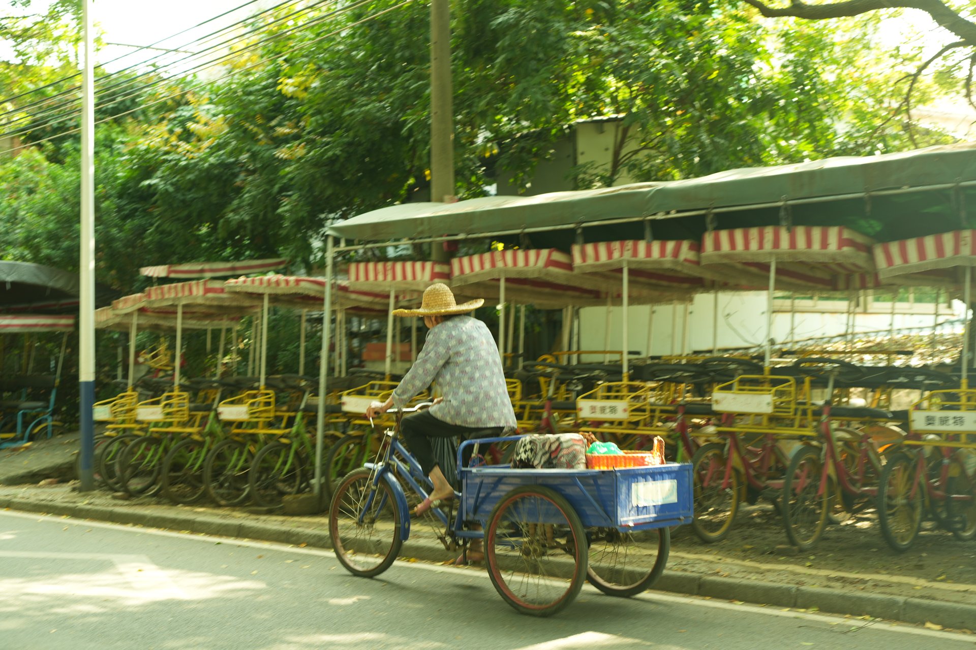 black blue and yellow textile