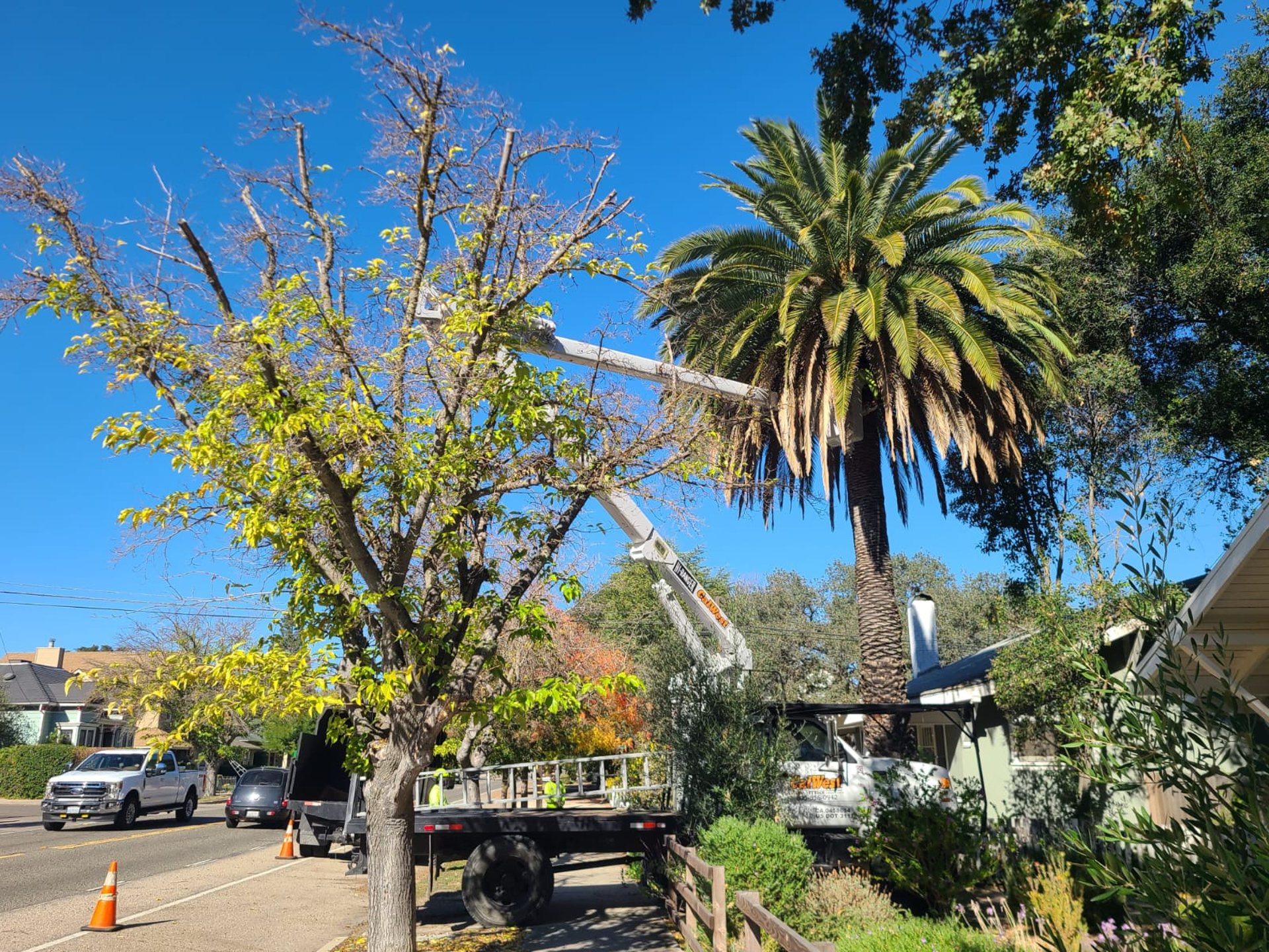 gray computer monitor