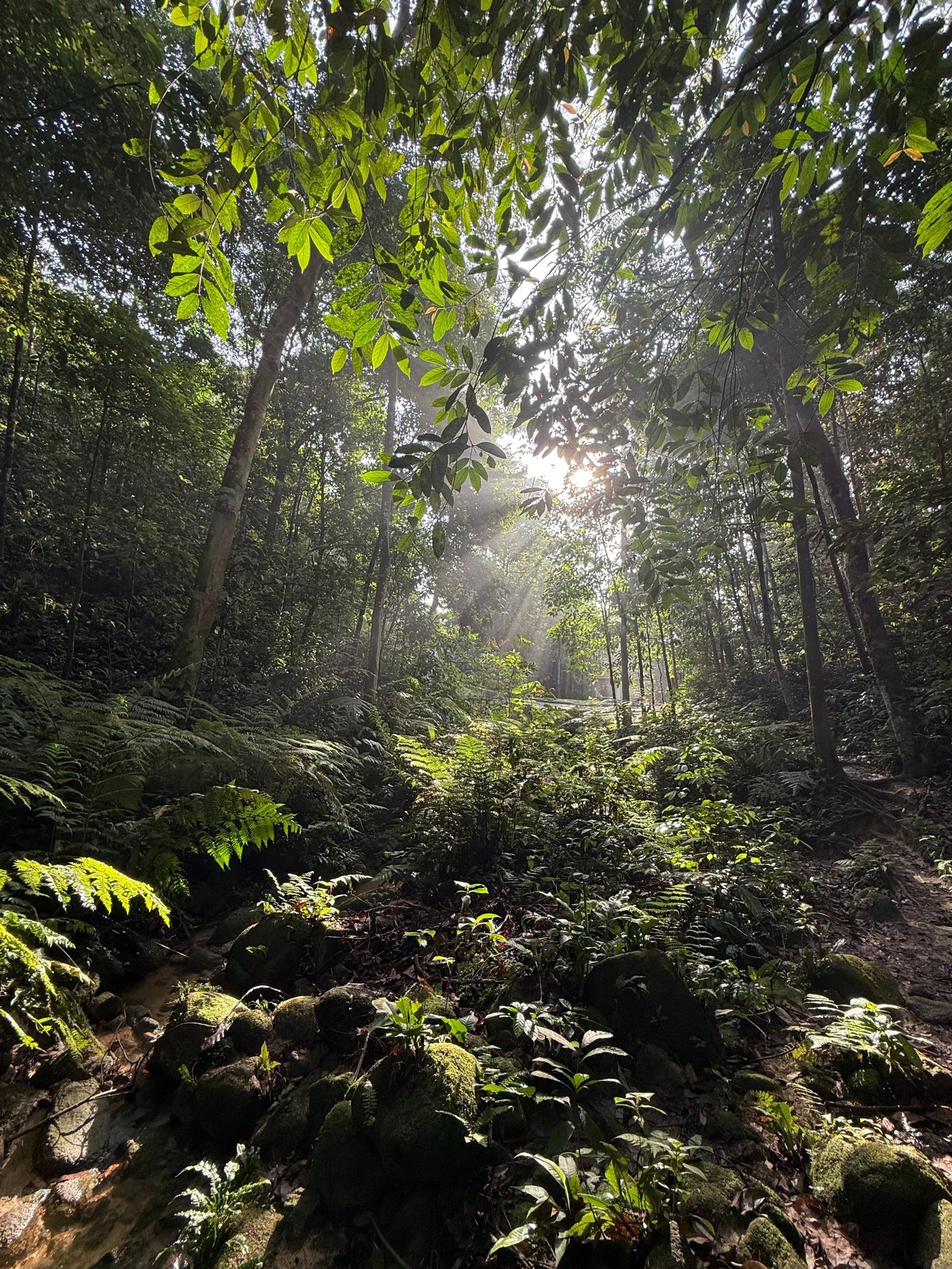 black blue and yellow textile