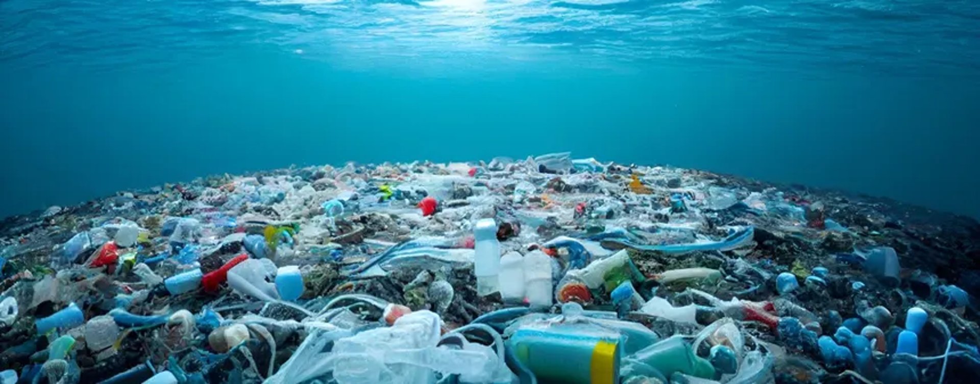 black and yellow poison sign