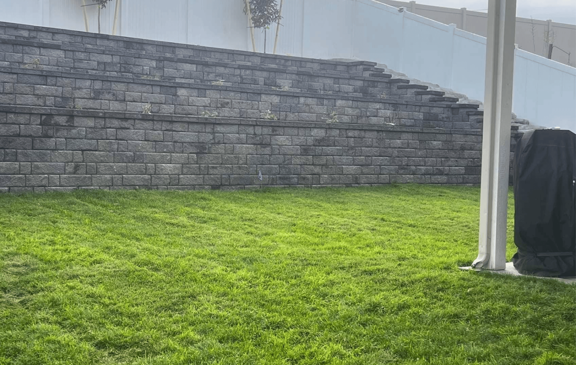 Snowy trail leads toward a forest.