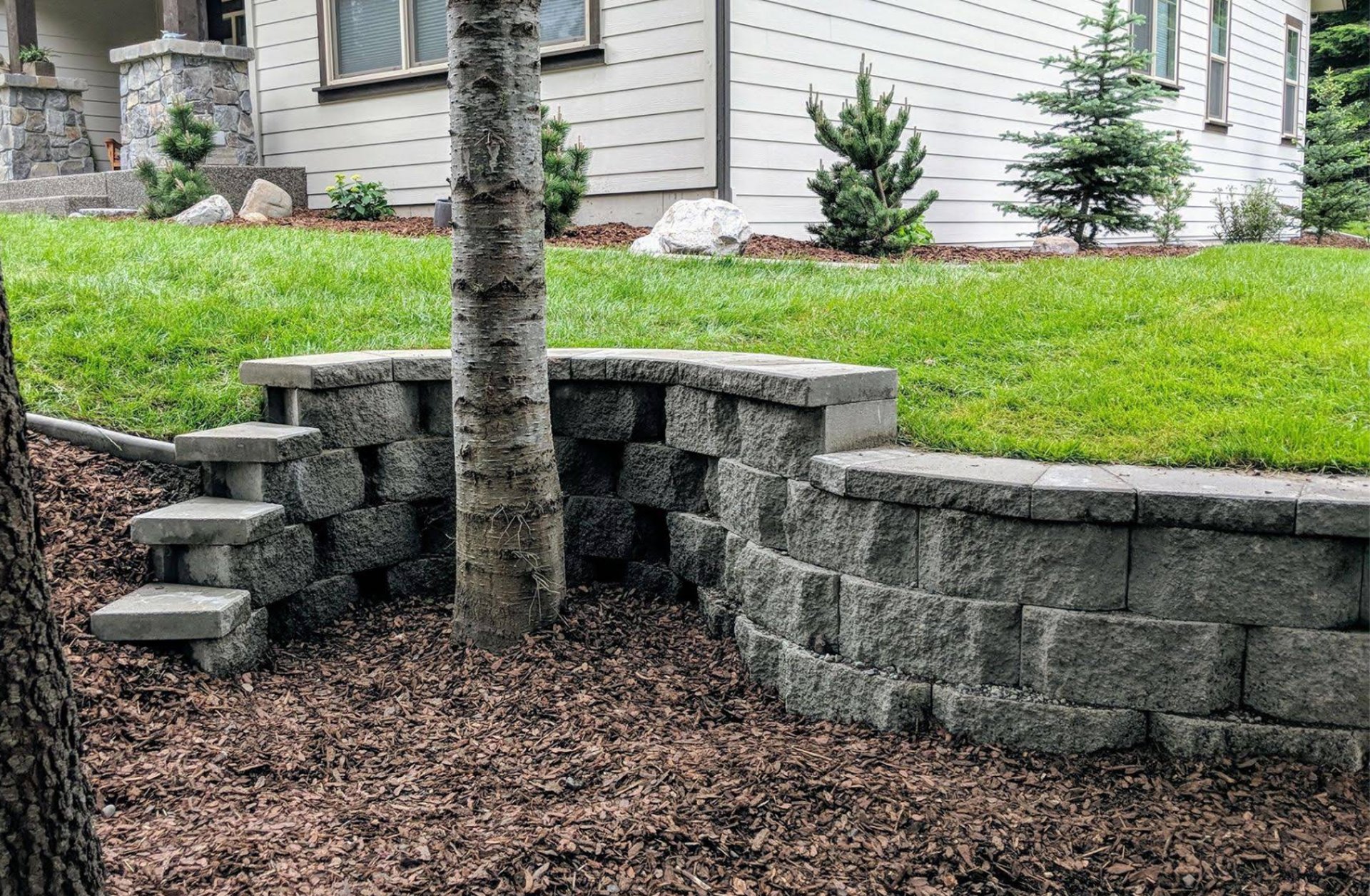 green grass field with trees under white clouds and blue sky during daytime