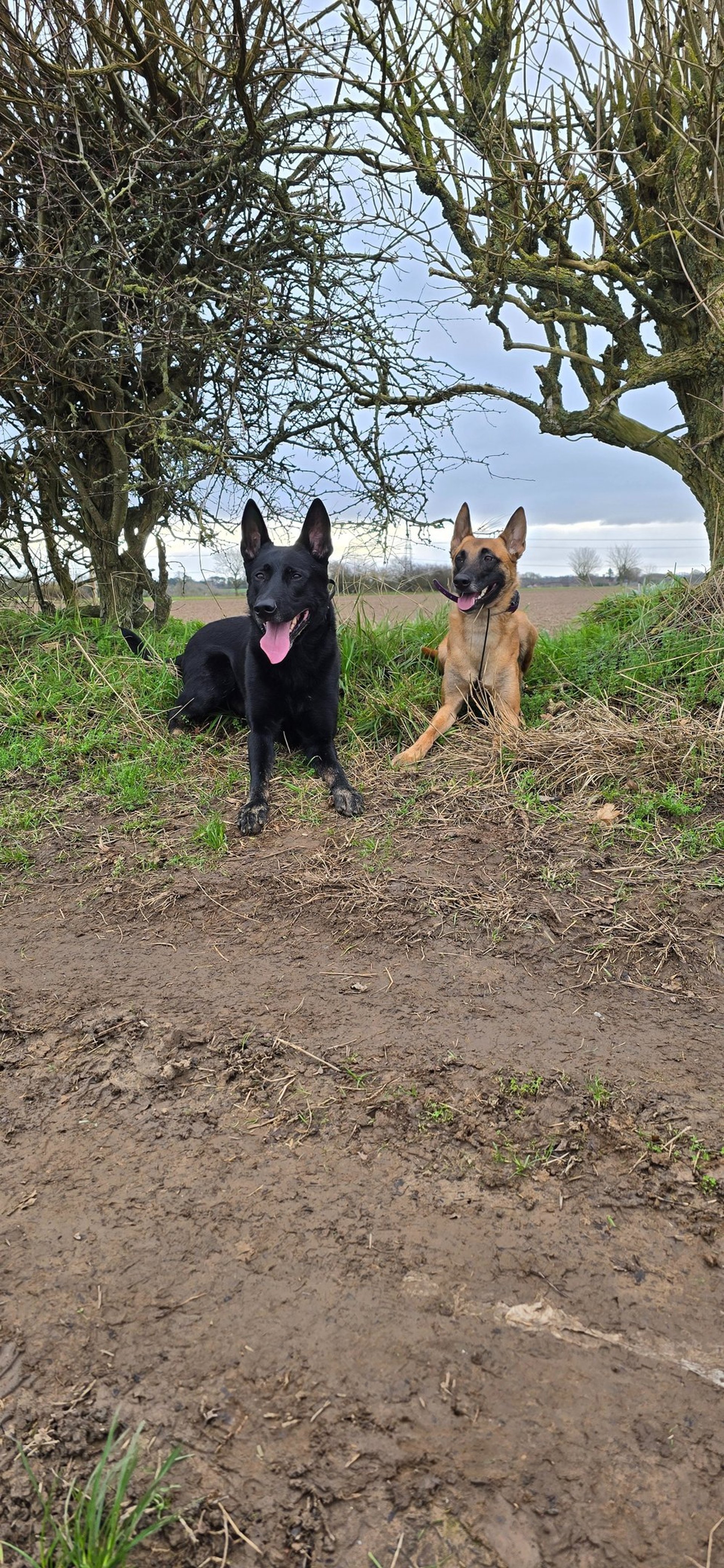 gray computer monitor