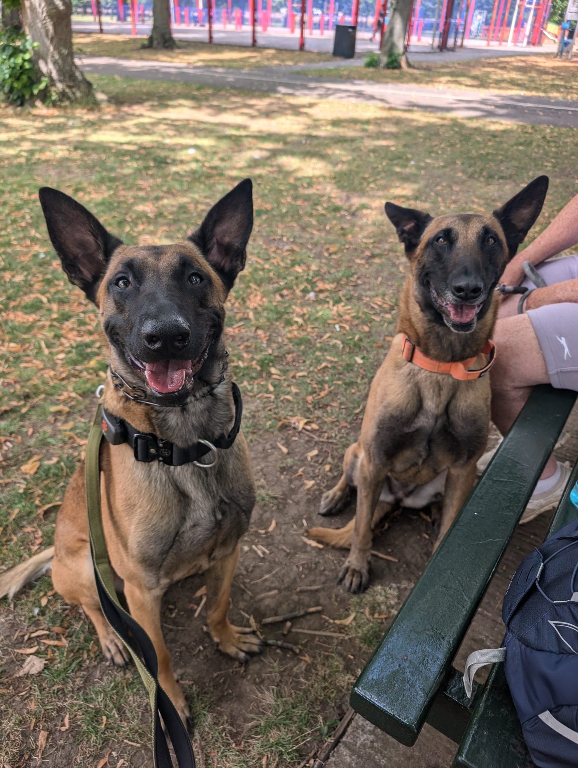 gray computer monitor