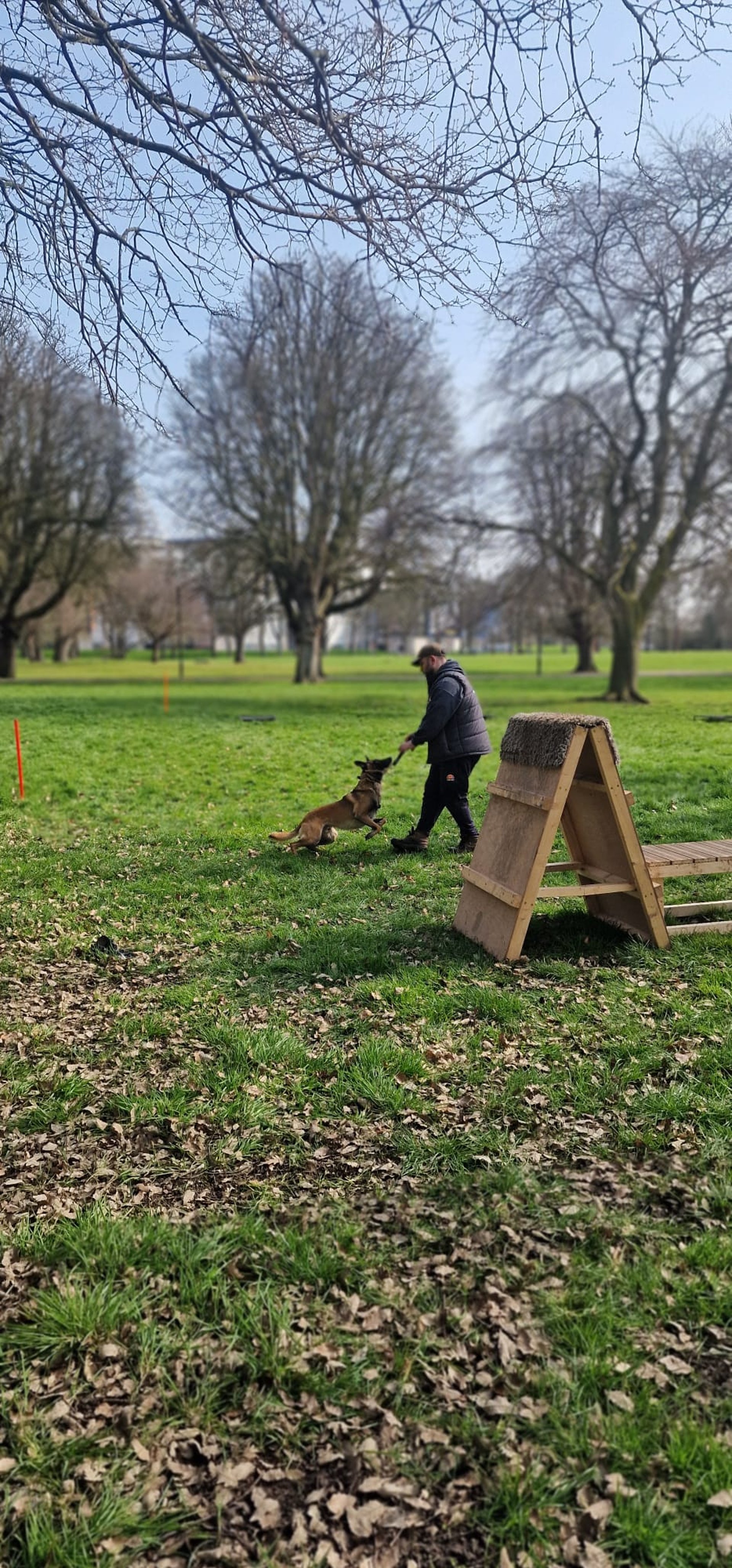 gray computer monitor
