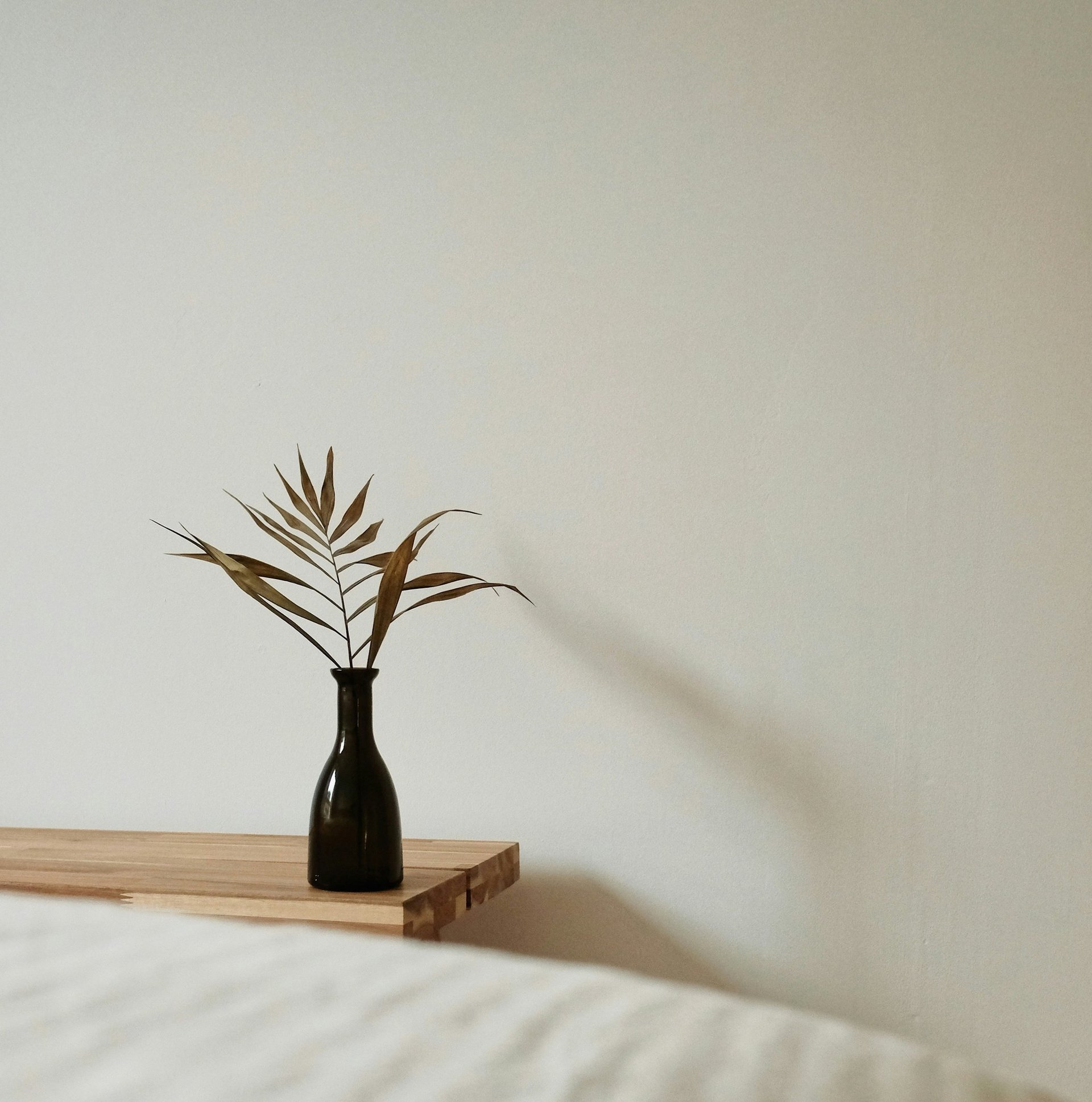 brown and green plant on brown wooden table