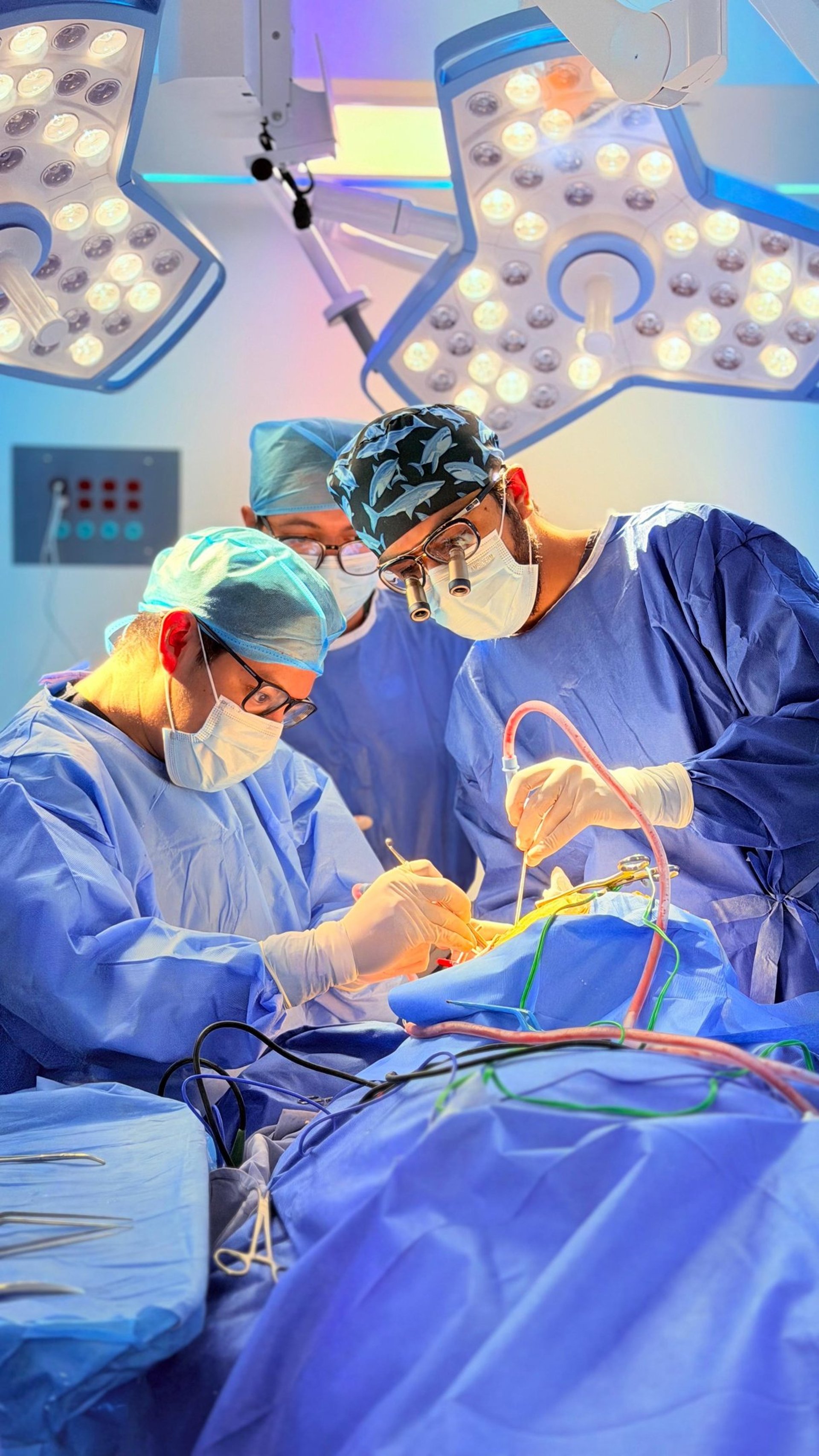 black and brown leather padded tub sofa