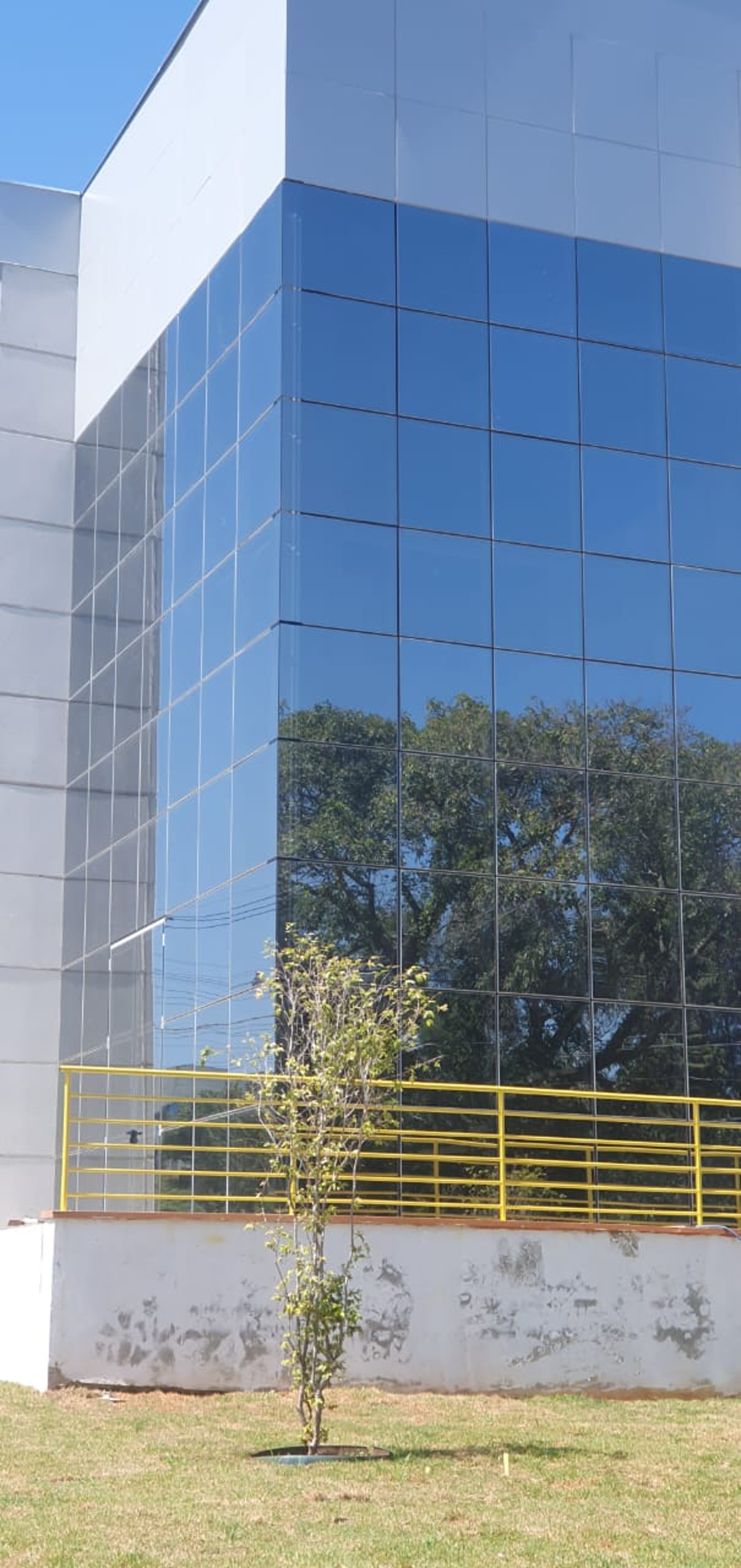 woman wearing yellow long-sleeved dress under white clouds and blue sky during daytime