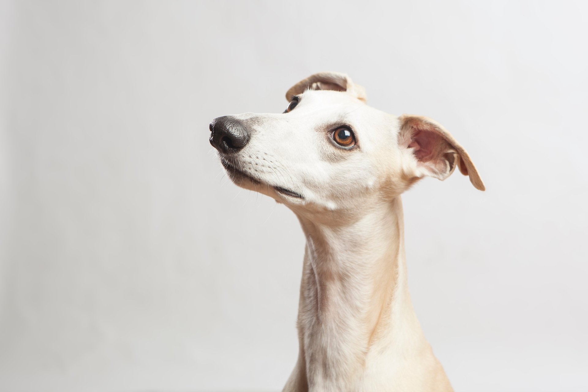 an abstract photo of a curved building with a blue sky in the background