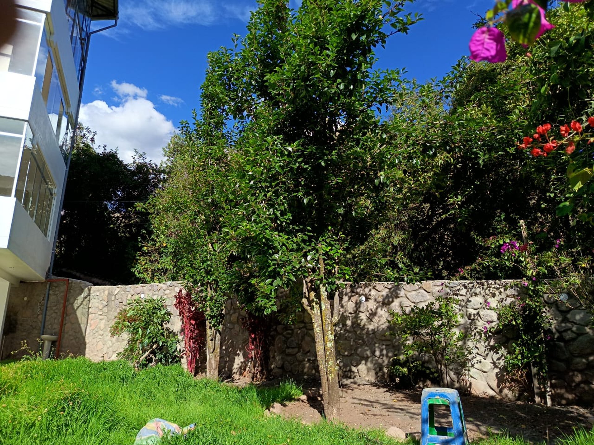 woman wearing yellow long-sleeved dress under white clouds and blue sky during daytime